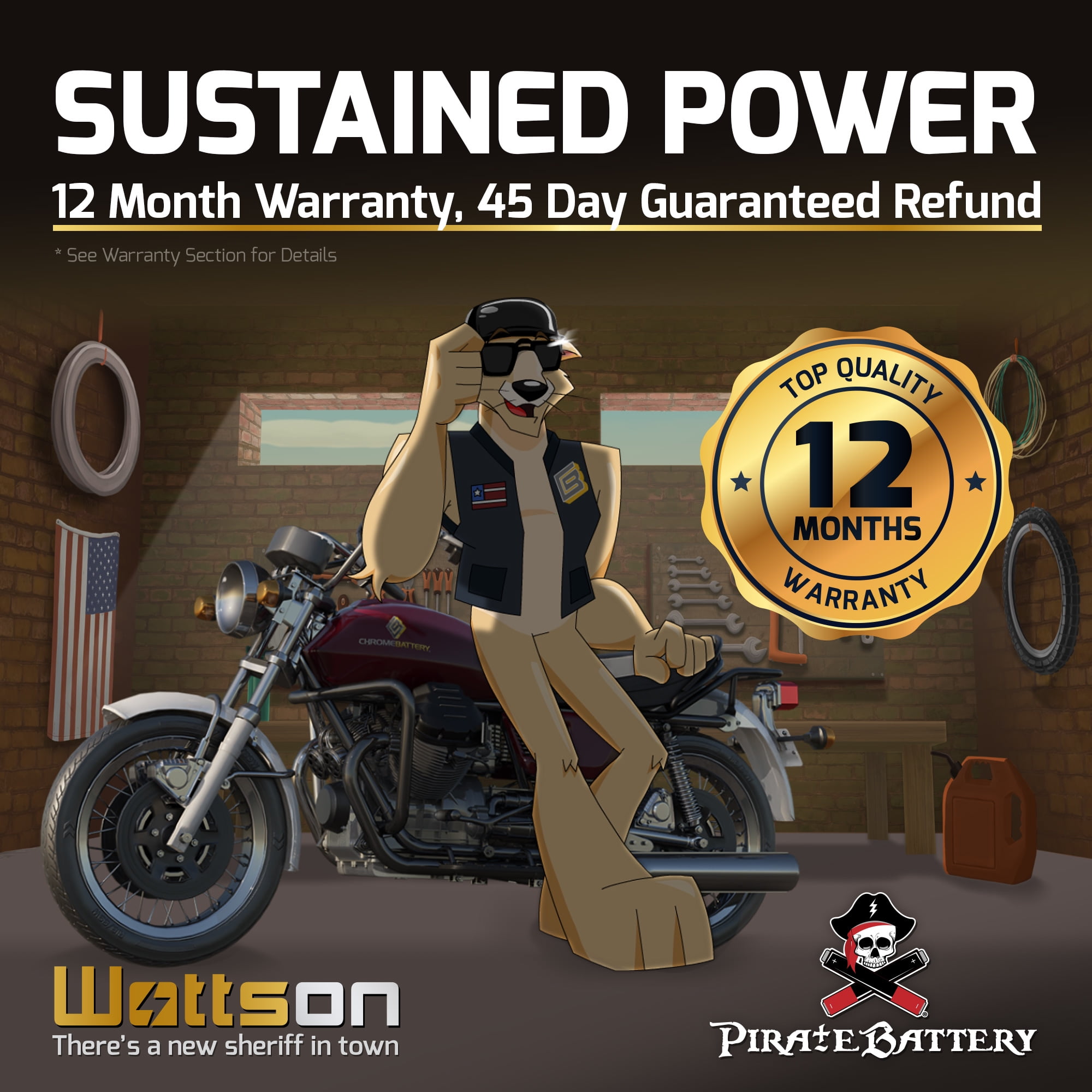 Pirate Battery YTX20-BS Motorcycle Battery for Harley-Davidson Sportster (12V, 18Ah, 270 CCA) 24dhl