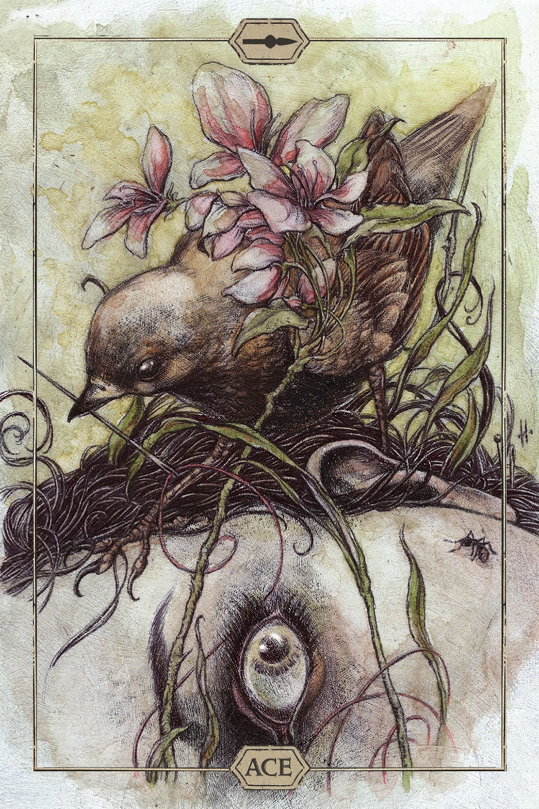 Jeremy Hush Tarot Deck (Hardcover, 78-Card Set) gm33e