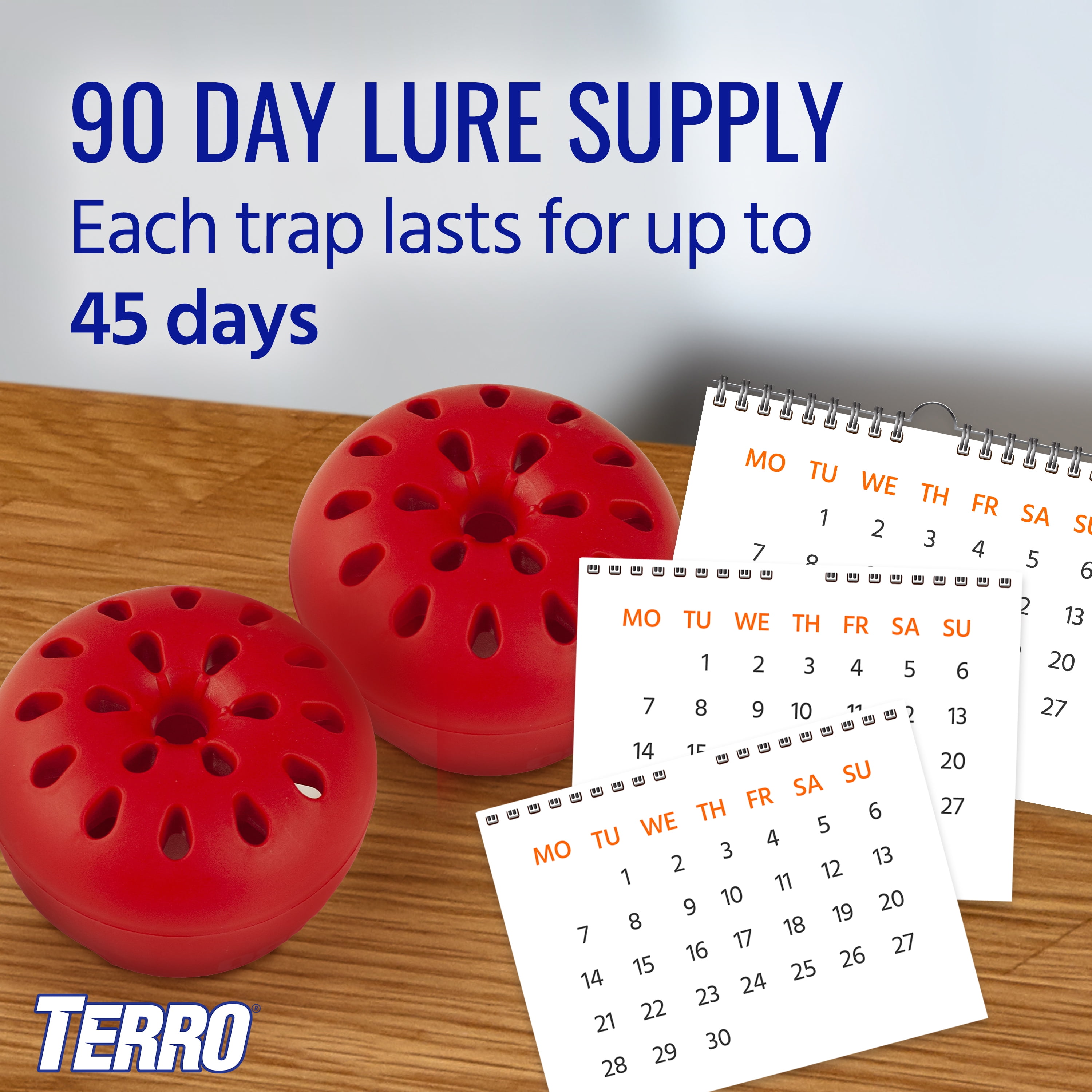 TERRO Fruit Fly Trap, Indoor Pest Control for Kitchen and Home (6 Pack) yp9gn