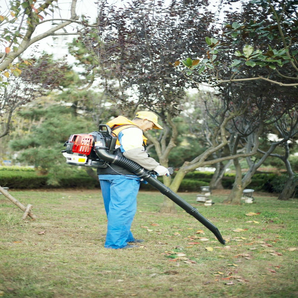Barara King Osakapro 52cc 2-Cycle Gas Backpack Leaf Blower (Red, 530 CFM) 4aakk