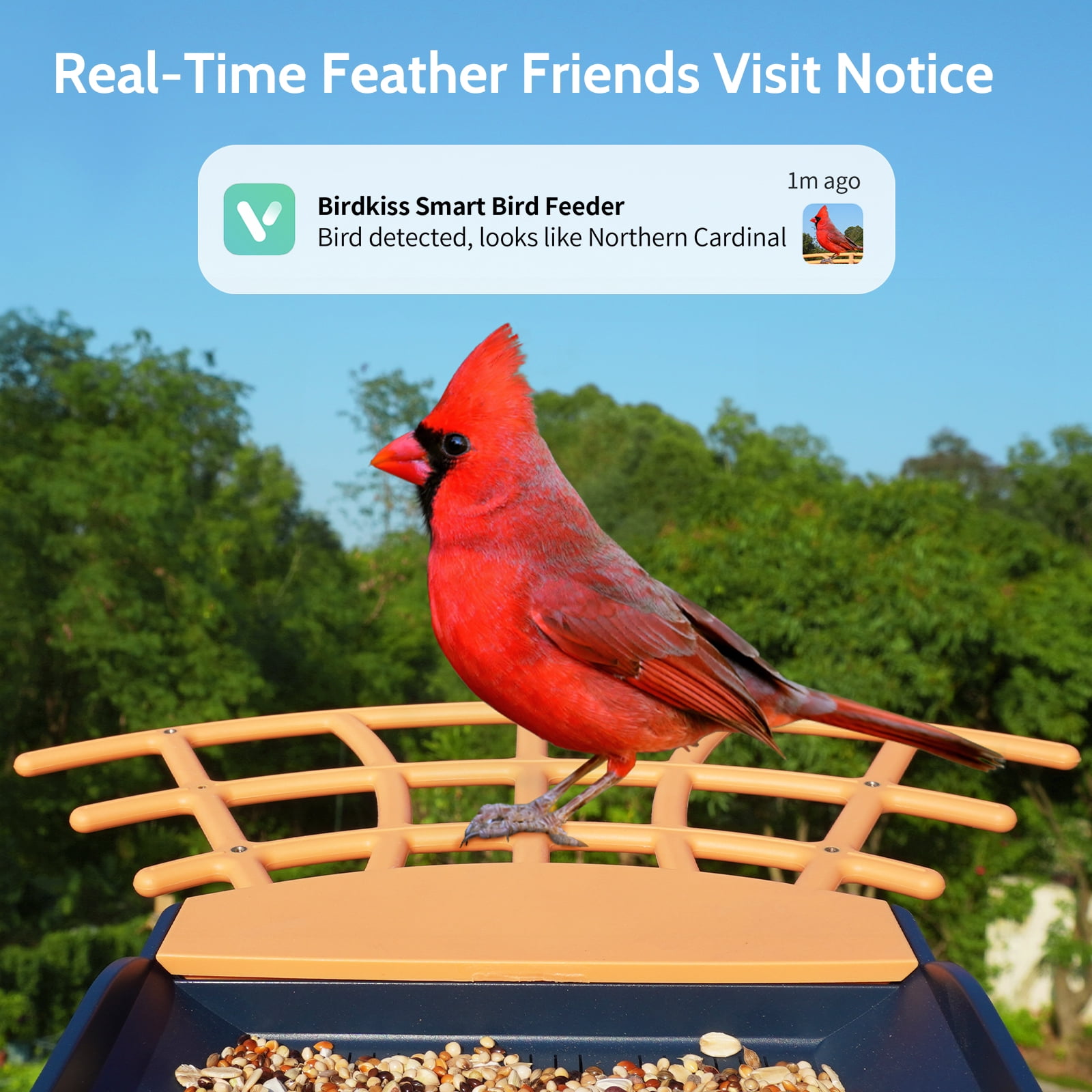 BirdKiss Smart Bird Feeder with Camera, 1080P HD AI Bird Identification, Weatherproof Outdoor Bird Watching Station (Blue, 42.27 fl oz) otass