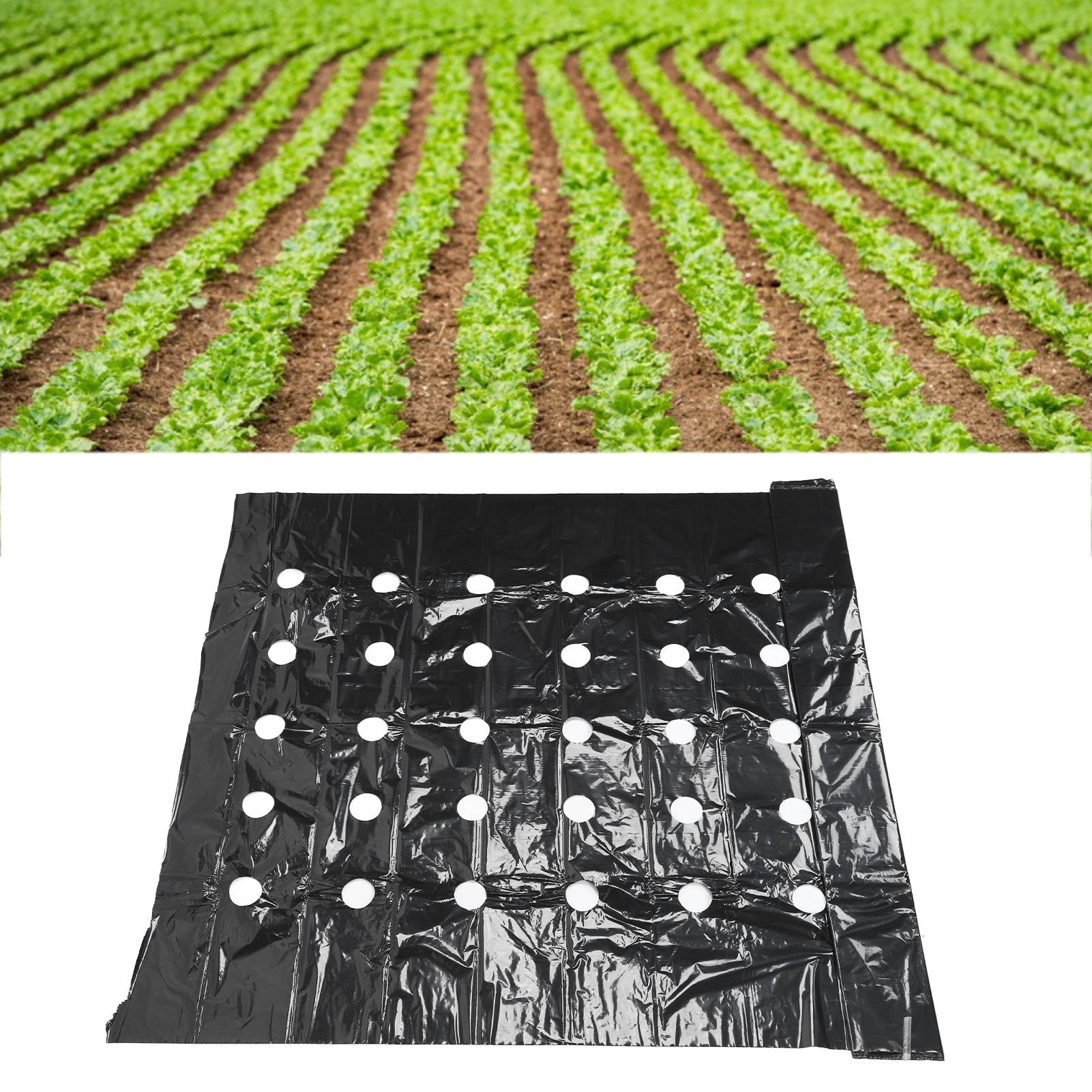 Generic Perforated PE Garden Mulch Film Weed Barrier for Crop Growth (Black, 3.1 ft x 32.8 ft) bkzvt