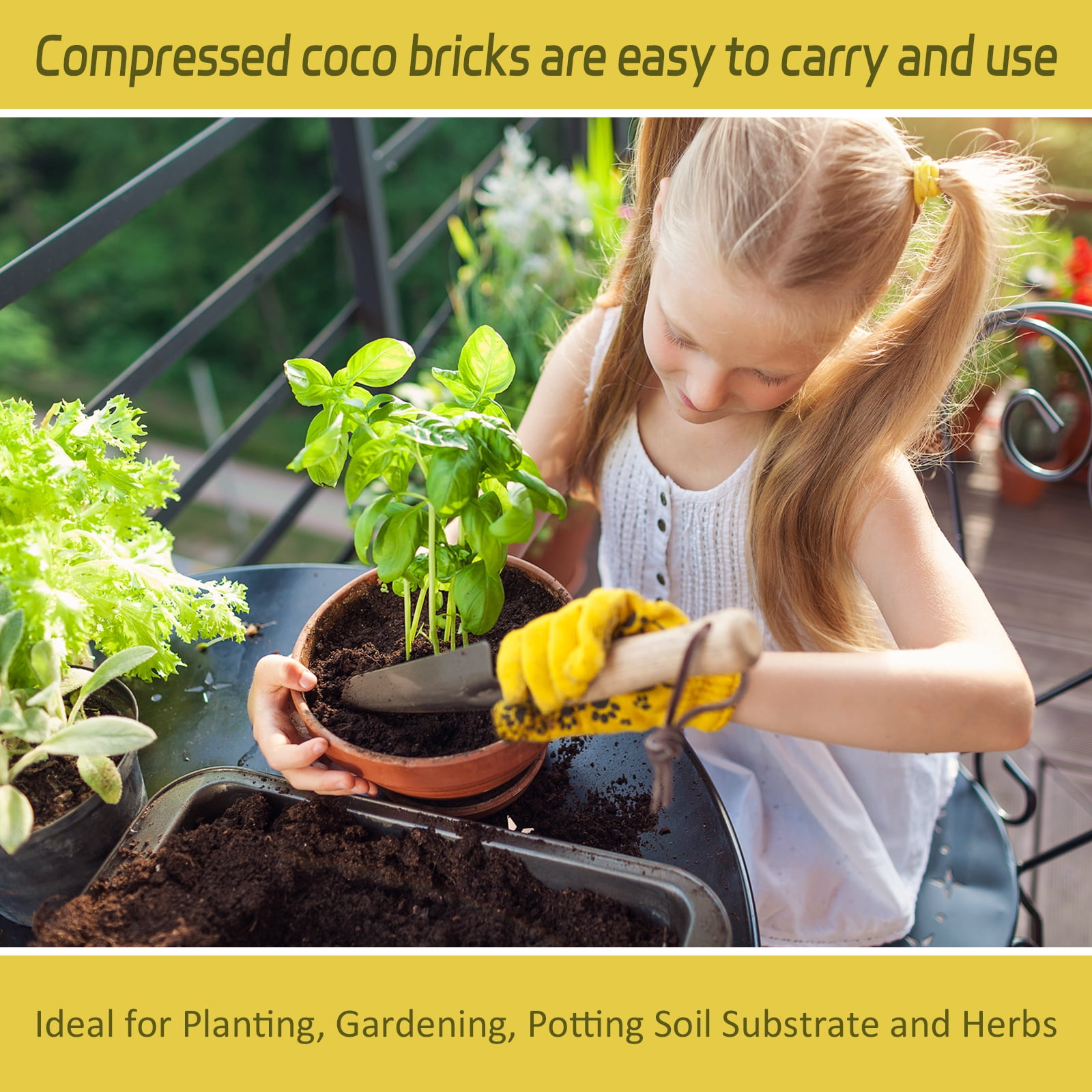 Legigo Organic Coco Coir Brick Compressed Coconut Fiber Soil Substrate for Gardening (1 Pack, 8 x 4 x 2 in) 1h0h4