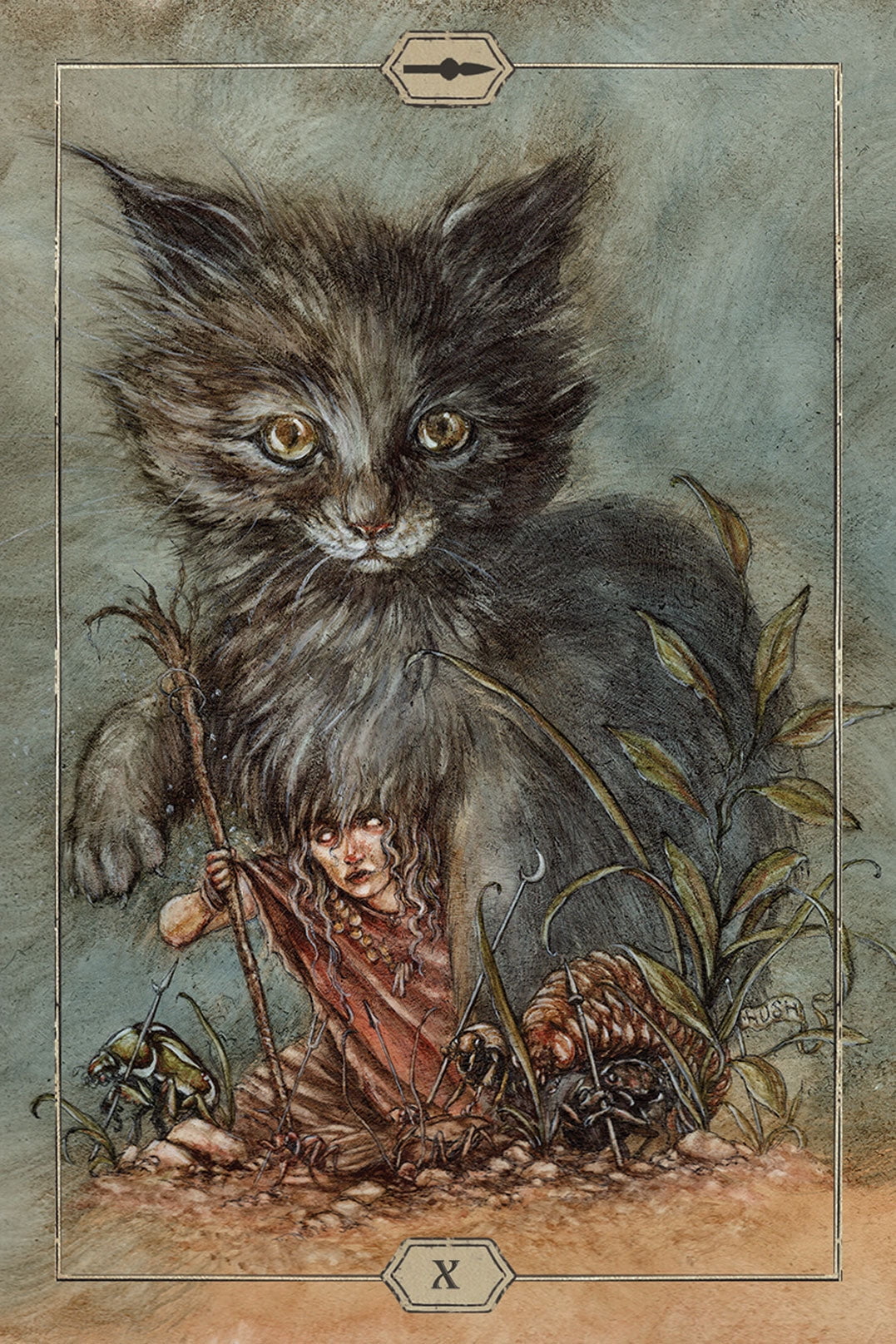 Jeremy Hush Tarot Deck (Hardcover, 78-Card Set) gm33e