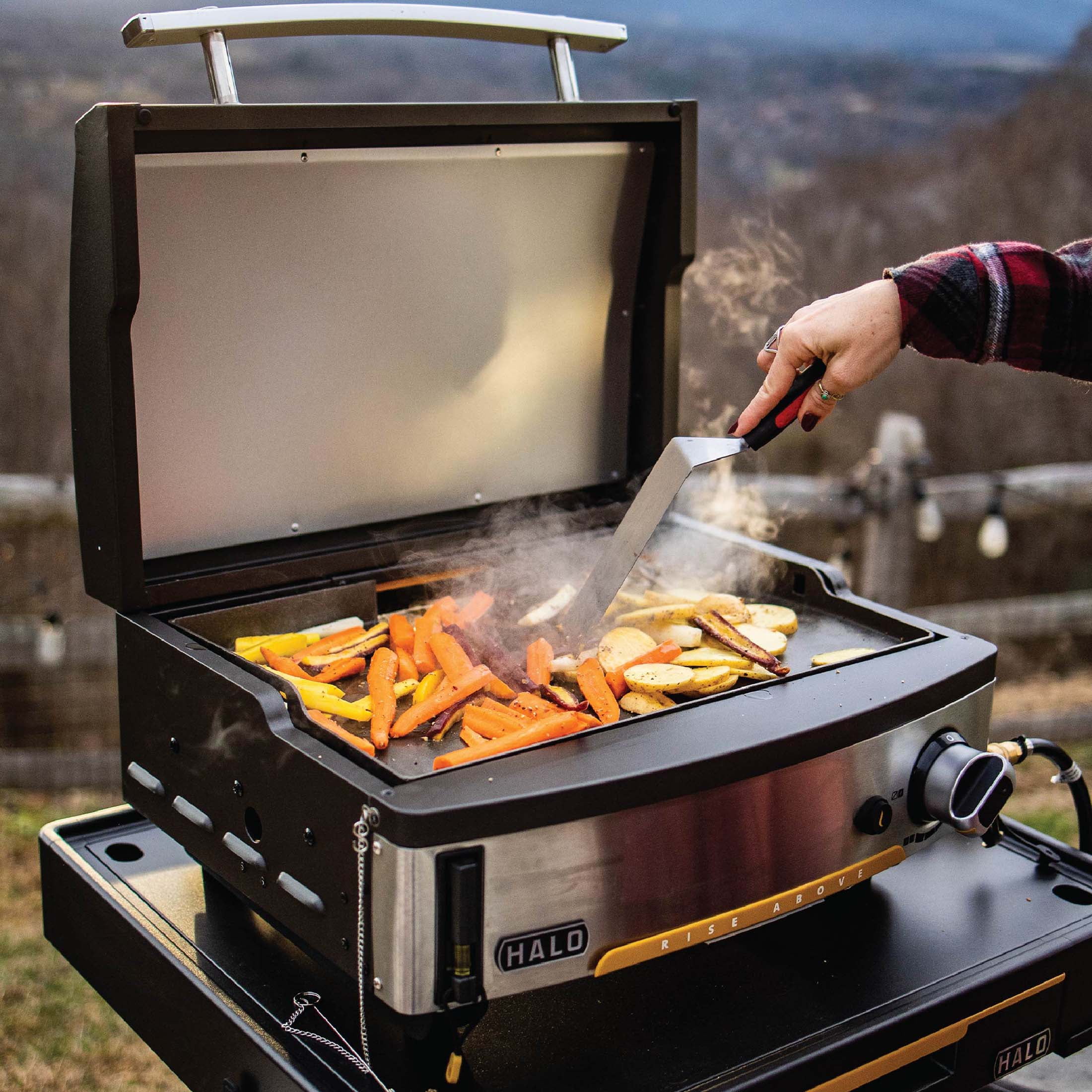 Halo Elite1B 1-Burner Outdoor Propane Gas Griddle with 2-Zone Cooking (Black, 284 sq in) agkdn