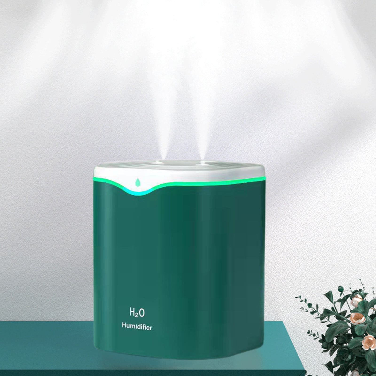 Dadiaei Cool & Warm Mist Humidifier for Bedroom and Nursery (Green, 67.6 fl oz) 0kbuu