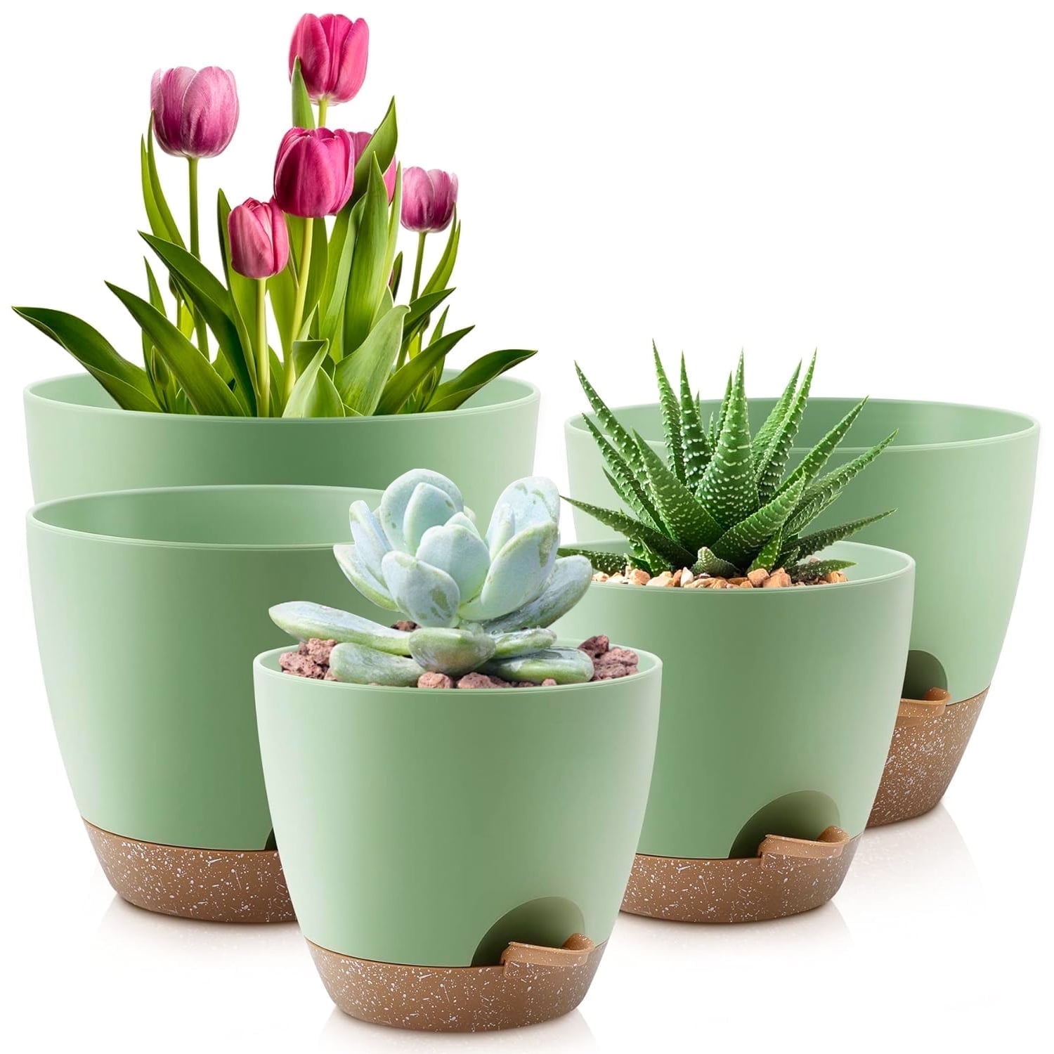 Foukus Self-Watering Plant Pots with Drainage, Eco-Friendly Indoor & Outdoor Planters for Succulents (Green, 5-Piece Set, 5 in to 7 in) nivg5