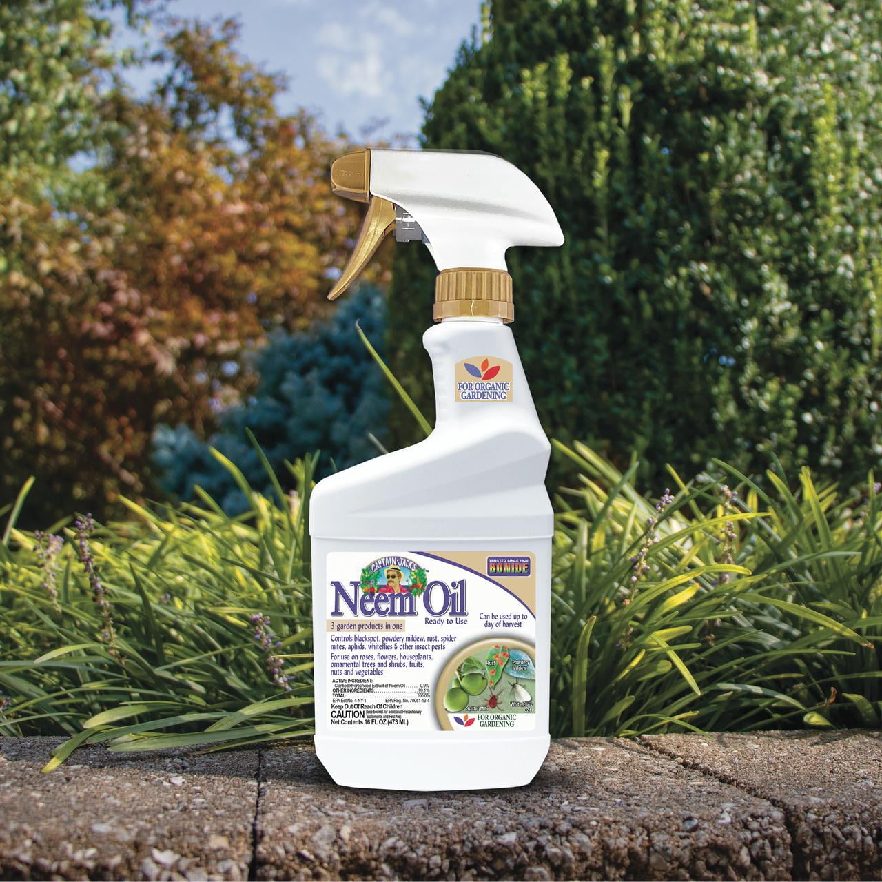 Bonide Captain Jack's Neem Oil Insect, Fungus and Mite Control Spray (16 oz) 5hqx3