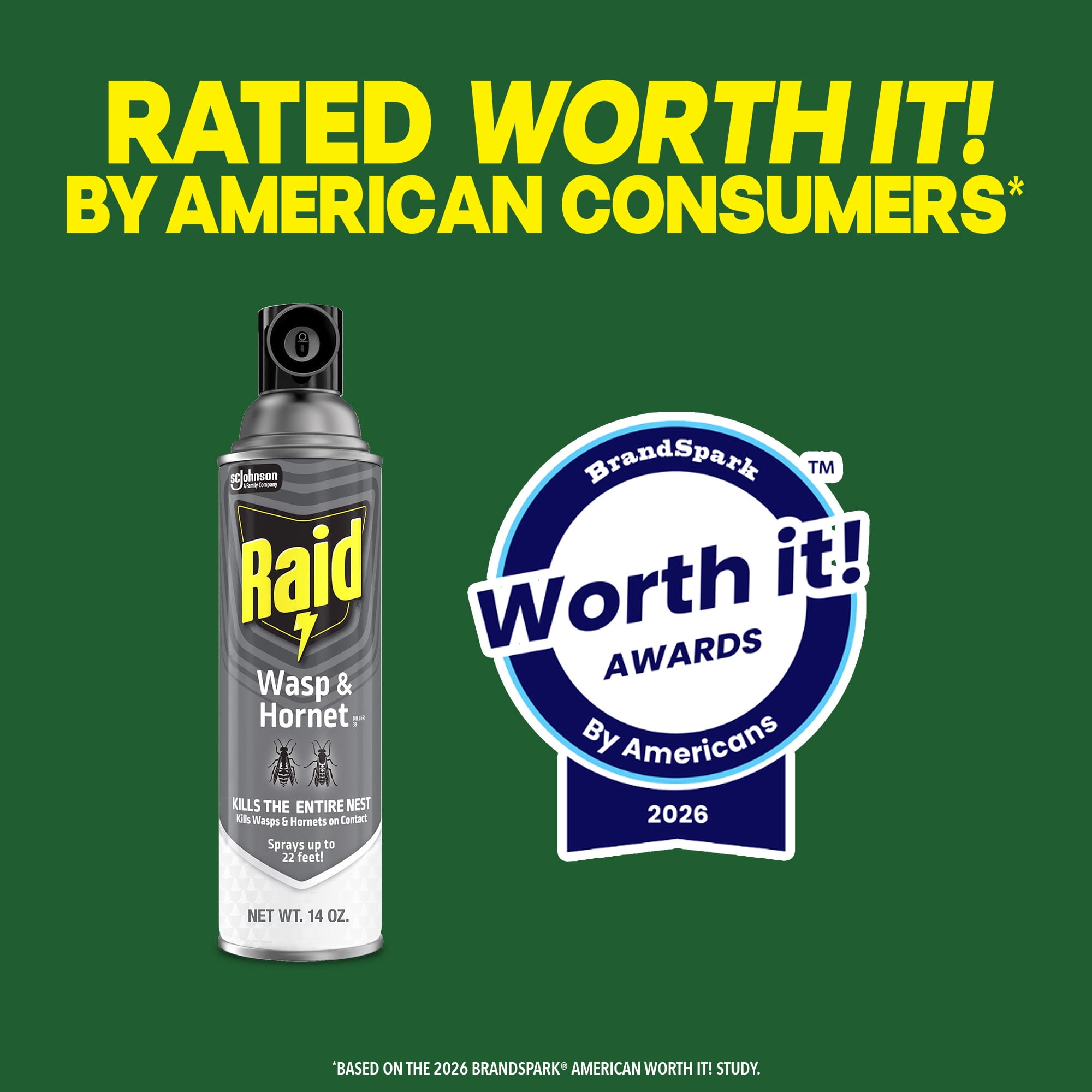 Raid Wasp and Hornet Killer 33 Outdoor Insecticide Spray (2 Pack, 14 oz each) 3e5kk