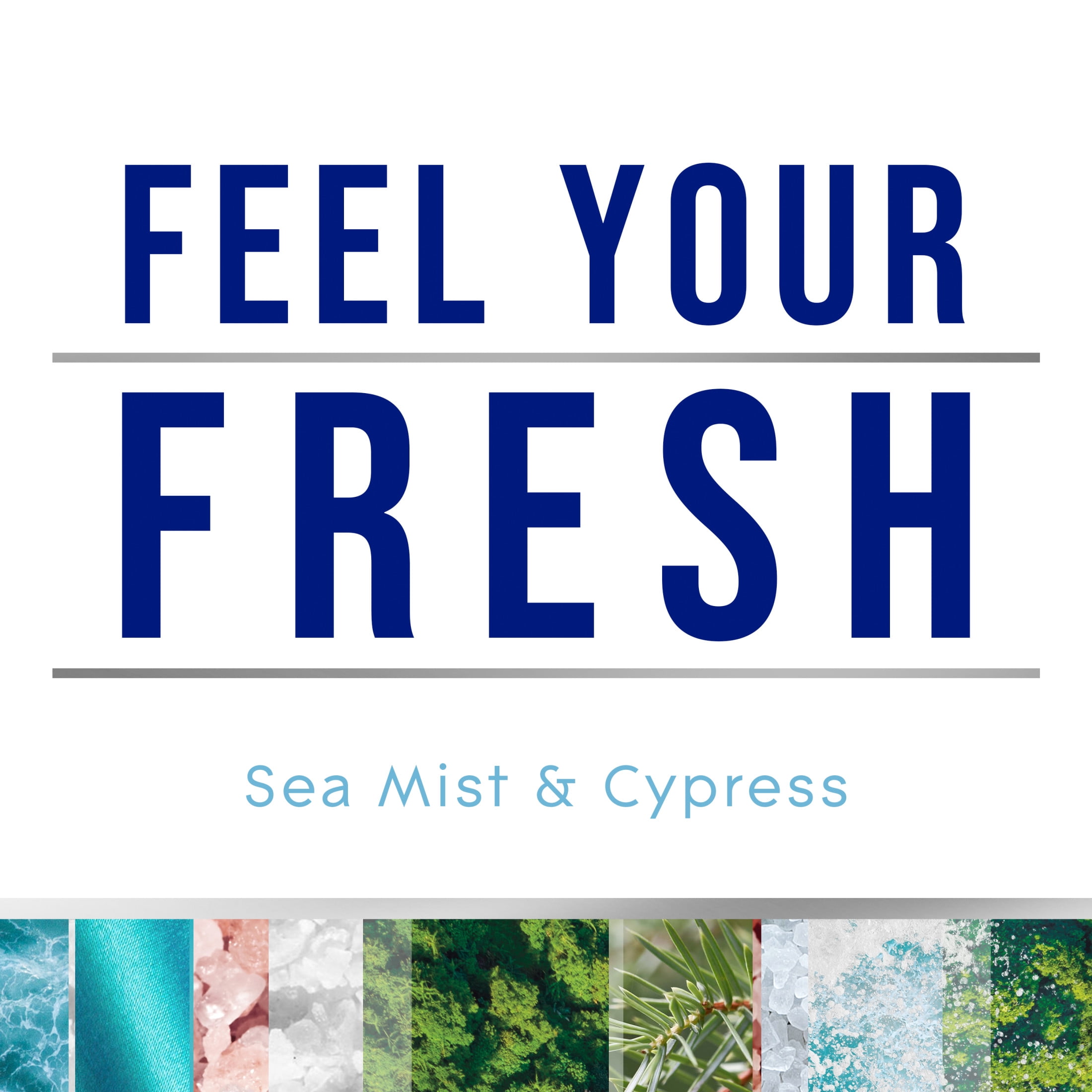 Glade PlugIns Scented Oil Air Freshener Refills, Sea Mist & Cypress, Long-Lasting Fragrance (5 Pack, 0.67 fl oz Each) mzgiy