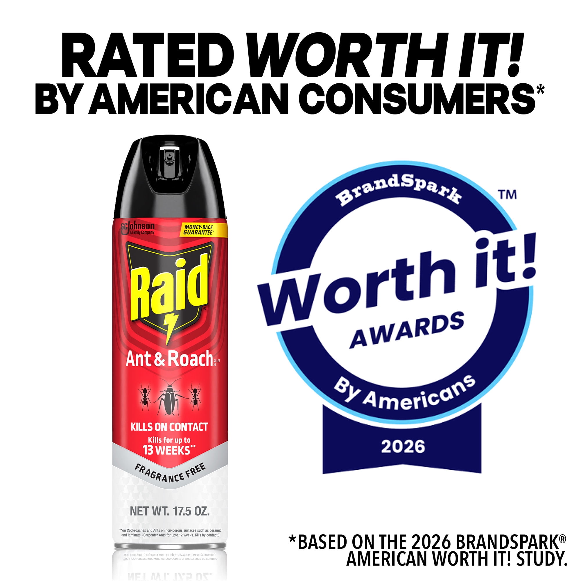 Raid Ant & Roach Killer Indoor Insecticide Spray (Fragrance Free, 35 oz, 2 Pack) jzlme