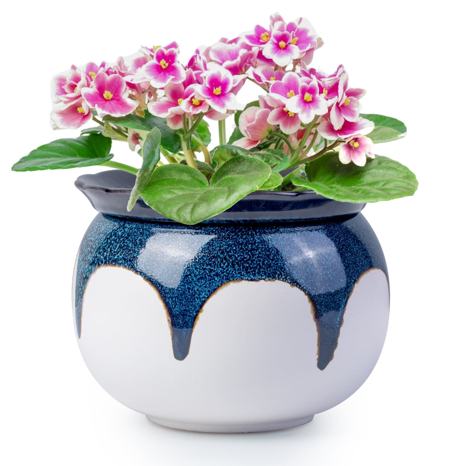 EFISPSS Self-Watering Ceramic African Violet Pot, Minimalist Indoor Planter for Succulents and Herbs (Blue Gradient, 6 in) wgnjo