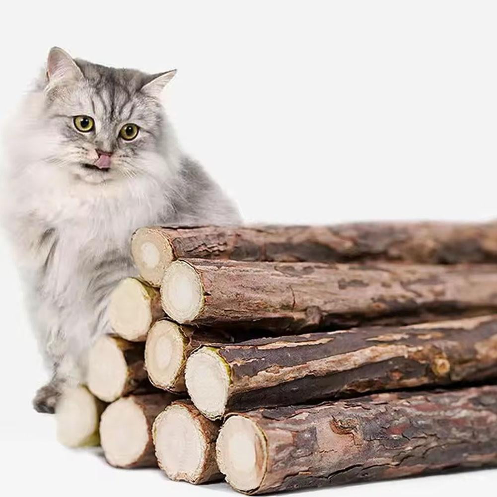 Yiokii Natural Matatabi Cat Chew Sticks Organic Dental Molar Toy (Green, 5 Pack) b2ytl