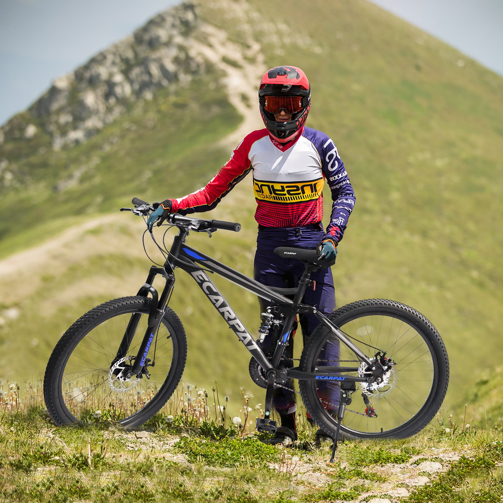 RAISTYW 26-Inch Mountain Bike, 21-Speed Full Suspension MTB with High Carbon Steel Frame and Disc Brakes (Black and Blue, 26 in) fhtgy