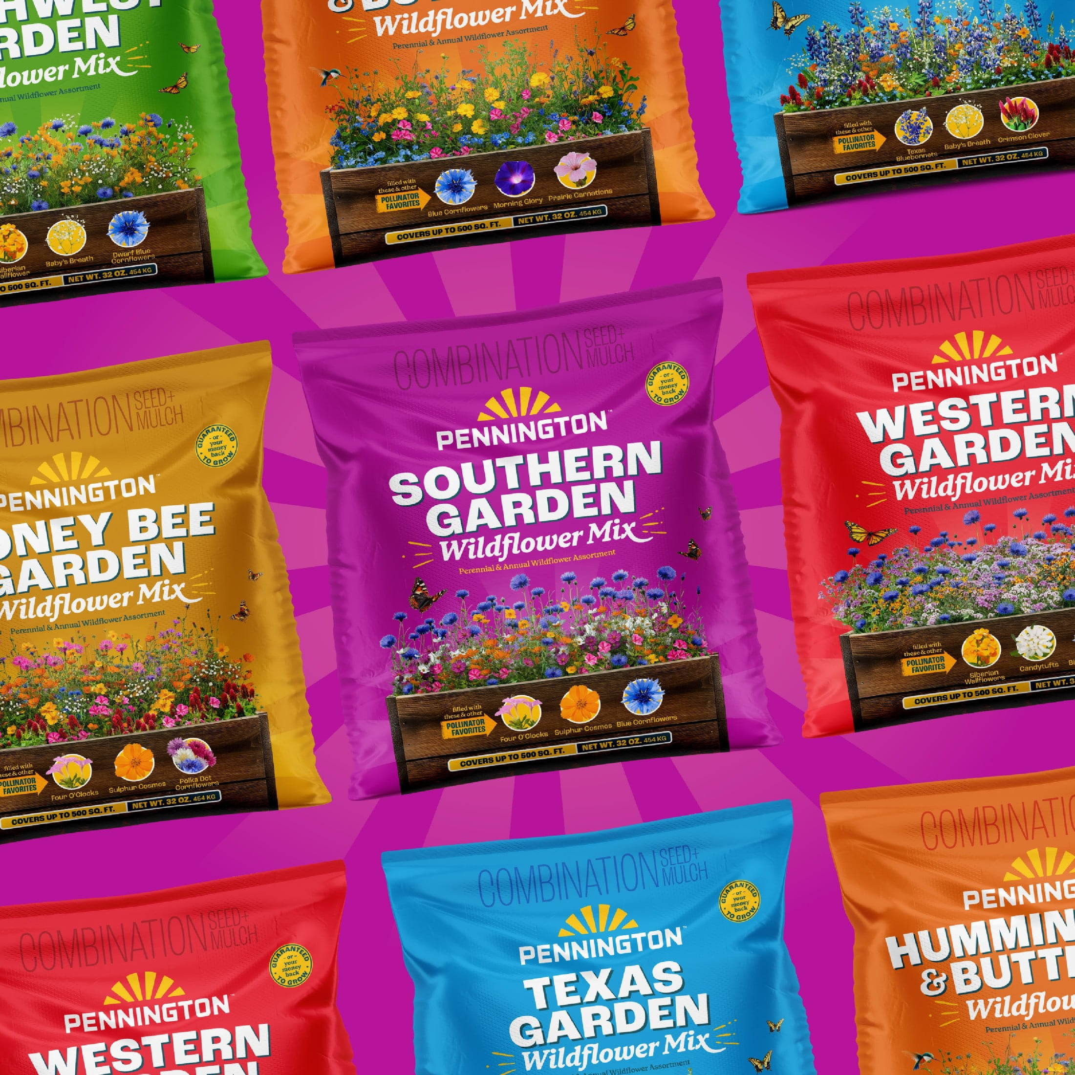 Pennington Wildflower Seed Mix, Southern Region Garden Blend, Pollinator-Friendly Annuals and Perennials (32 oz) uoowy