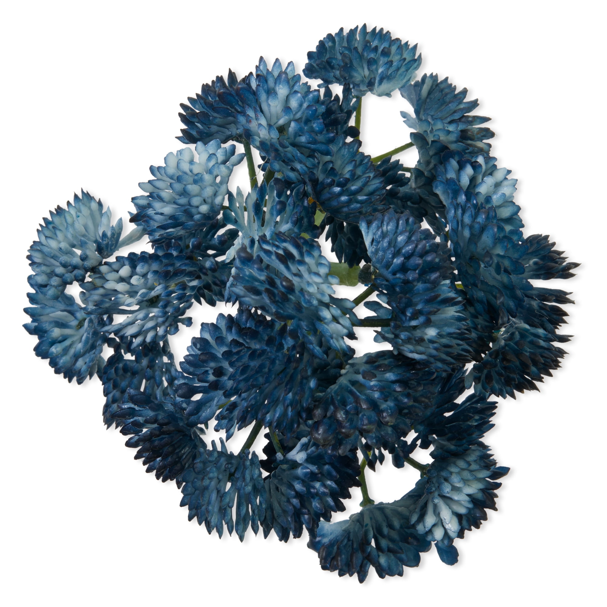 Mainstays Artificial Succulent Blue Sedum Pick (Blue, 3.4 in x 7.4 in) 4pa5v