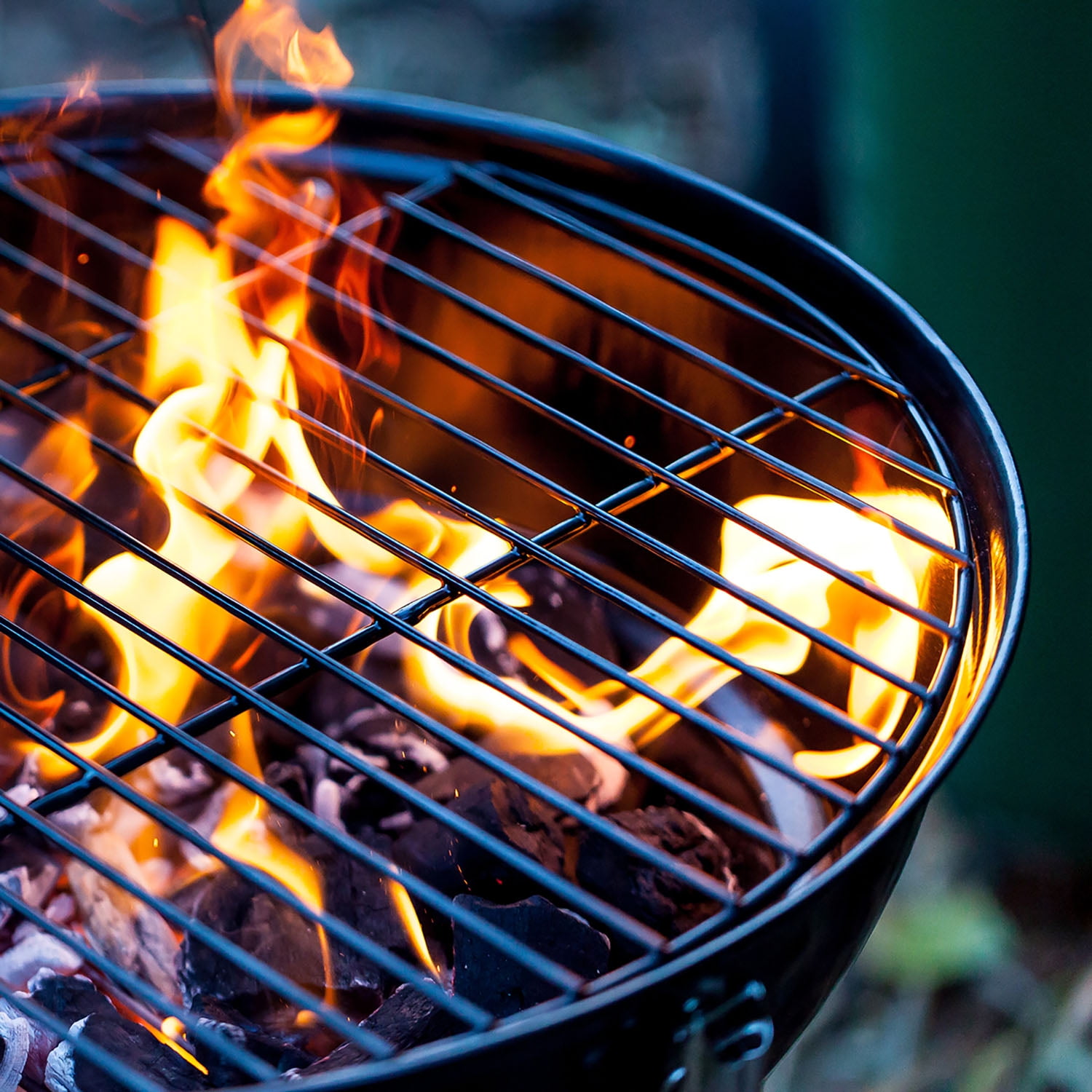 Expert Grill All-Natural Hardwood Lump Charcoal (8 lb) eyyip