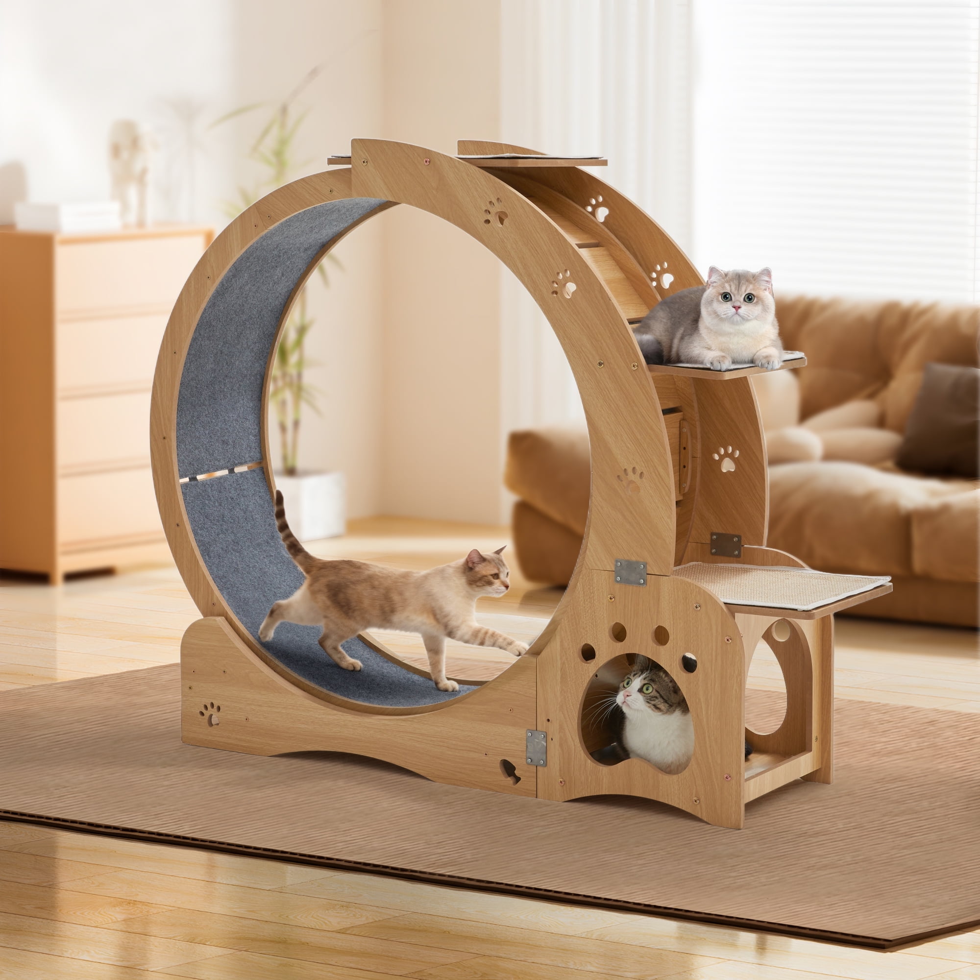 JXXRZ 5-in-1 Cat Exercise Wheel and Activity Center, Silent Indoor Cat Treadmill with Scratching Pad (43.7 in) 70ka7