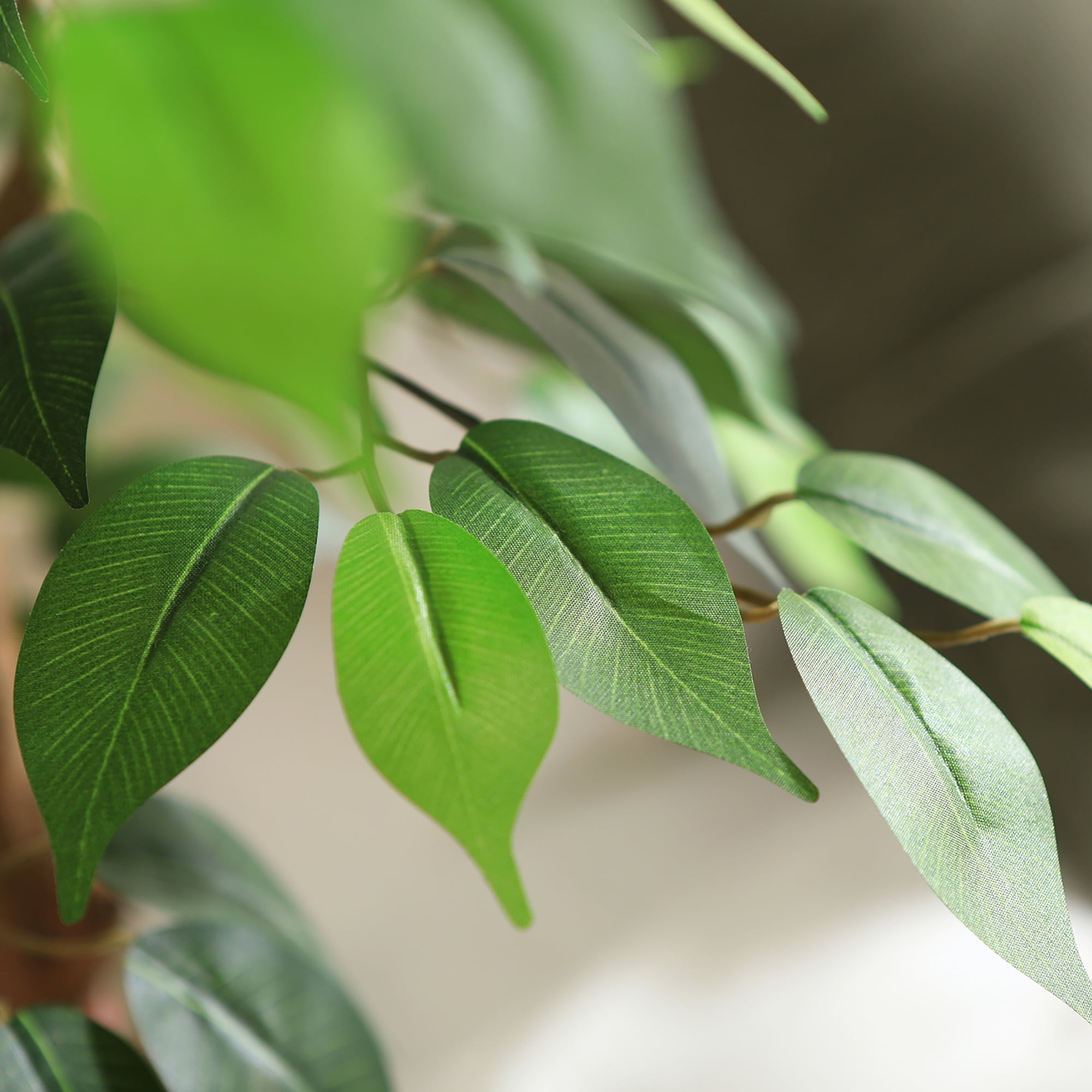 DR.Planzen Artificial Ficus Tree, Lifelike Indoor Floor Plant with Natural Wood Trunk (Green, 60 in) jofpa