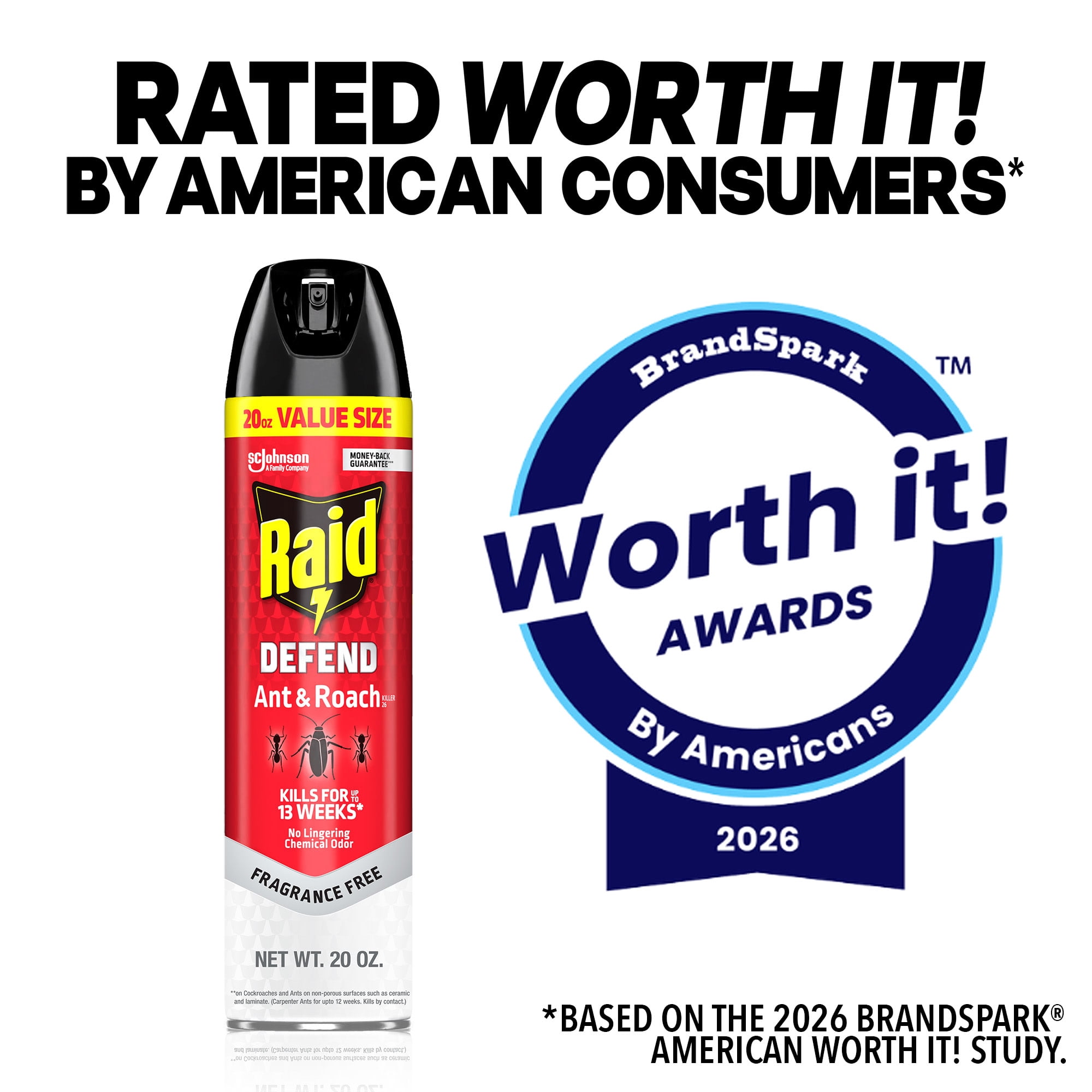 Raid Ant & Roach Killer Indoor Insecticide Spray (Fragrance Free, 20 oz) s92o8