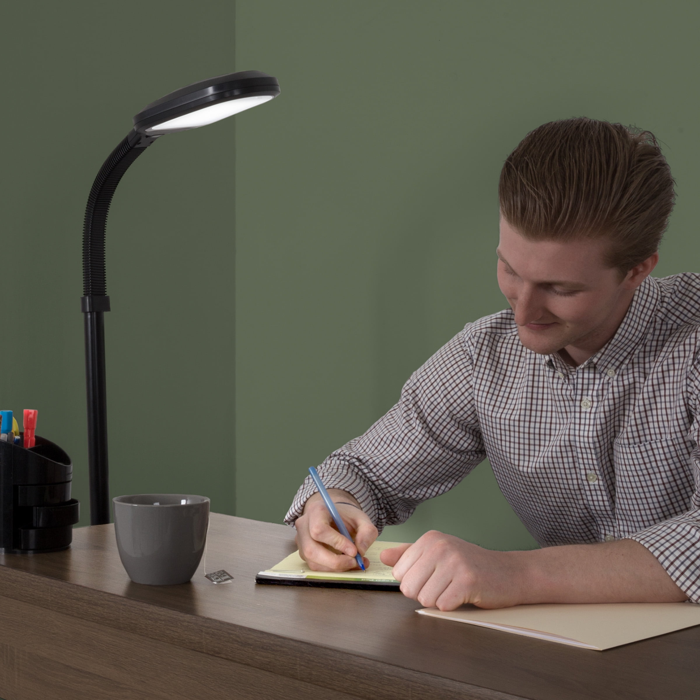 Somerset Home Natural Sunlight LED Floor Lamp, Dimmable Gooseneck Task Light (Black, 62.5 in) d4mee