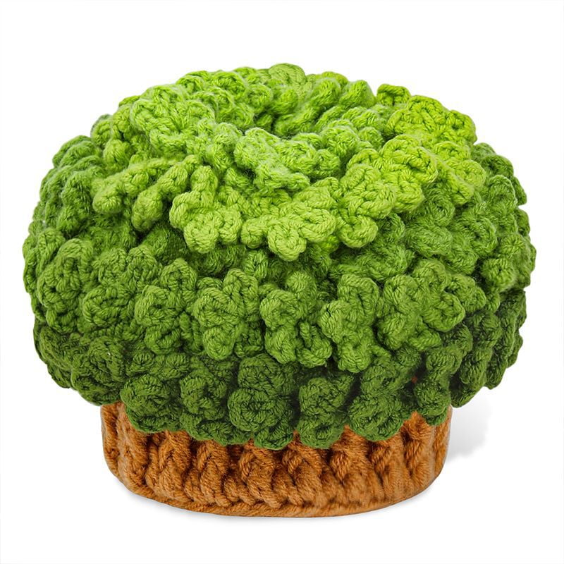 DIYCT Beginner Crochet Kit, Green Plant Coaster Craft Set with Step-by-Step Video Tutorials (Green, 1 Set) imogs