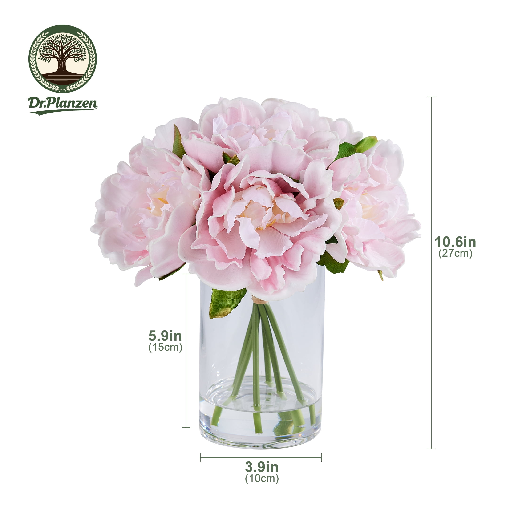 DR.Planzen Artificial Peony Flower Arrangement with Glass Vase (Pink, 10.6 in) 0ln0c