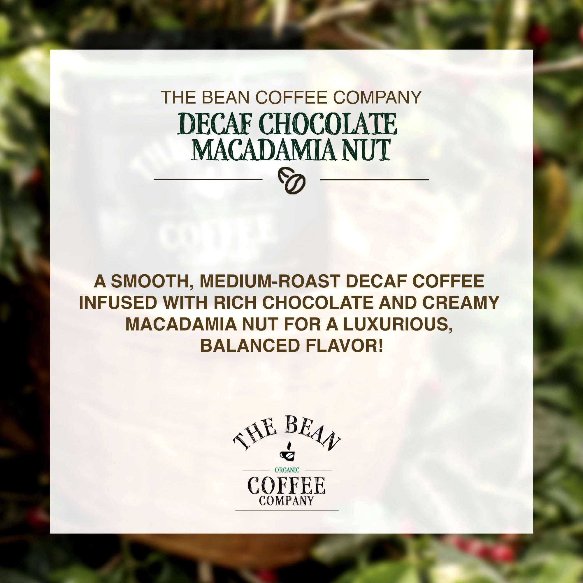The Bean Organic Coffee Company Decaf Chocolate Macadamia Nut Medium Roast Ground Coffee (16 oz) uh2c5