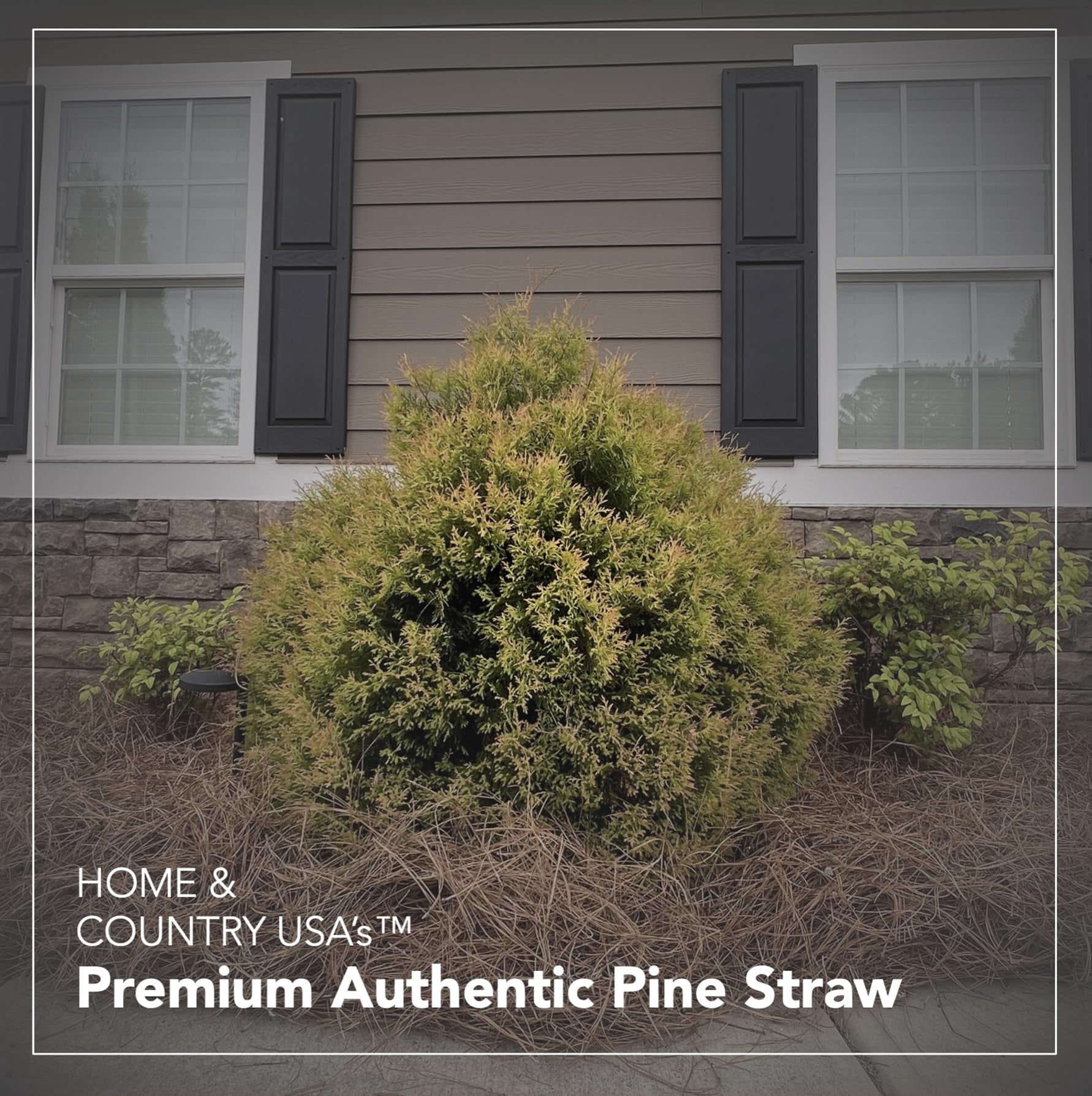 Home and Country USA Premium Pine Straw Mulch for Landscaping and Gardening (Natural Brown, 4 lb) tf0rb