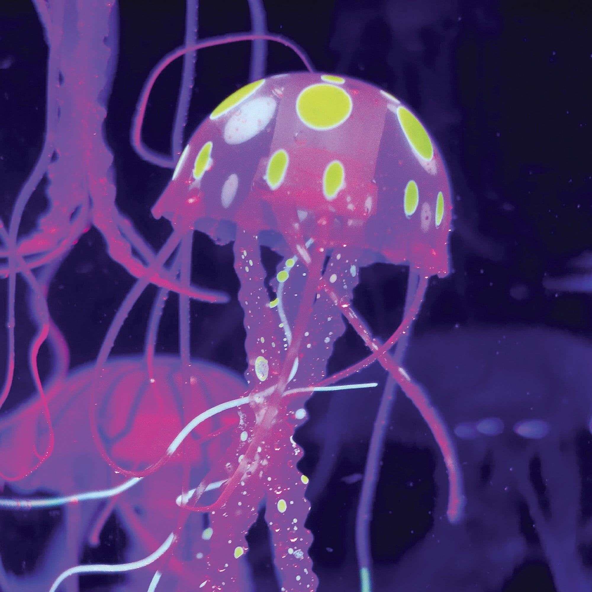 Discovery #Mindblown Jellyfish Aquarium Color-Morphing LED Lamp (Multicolor, 12 in) 8586n