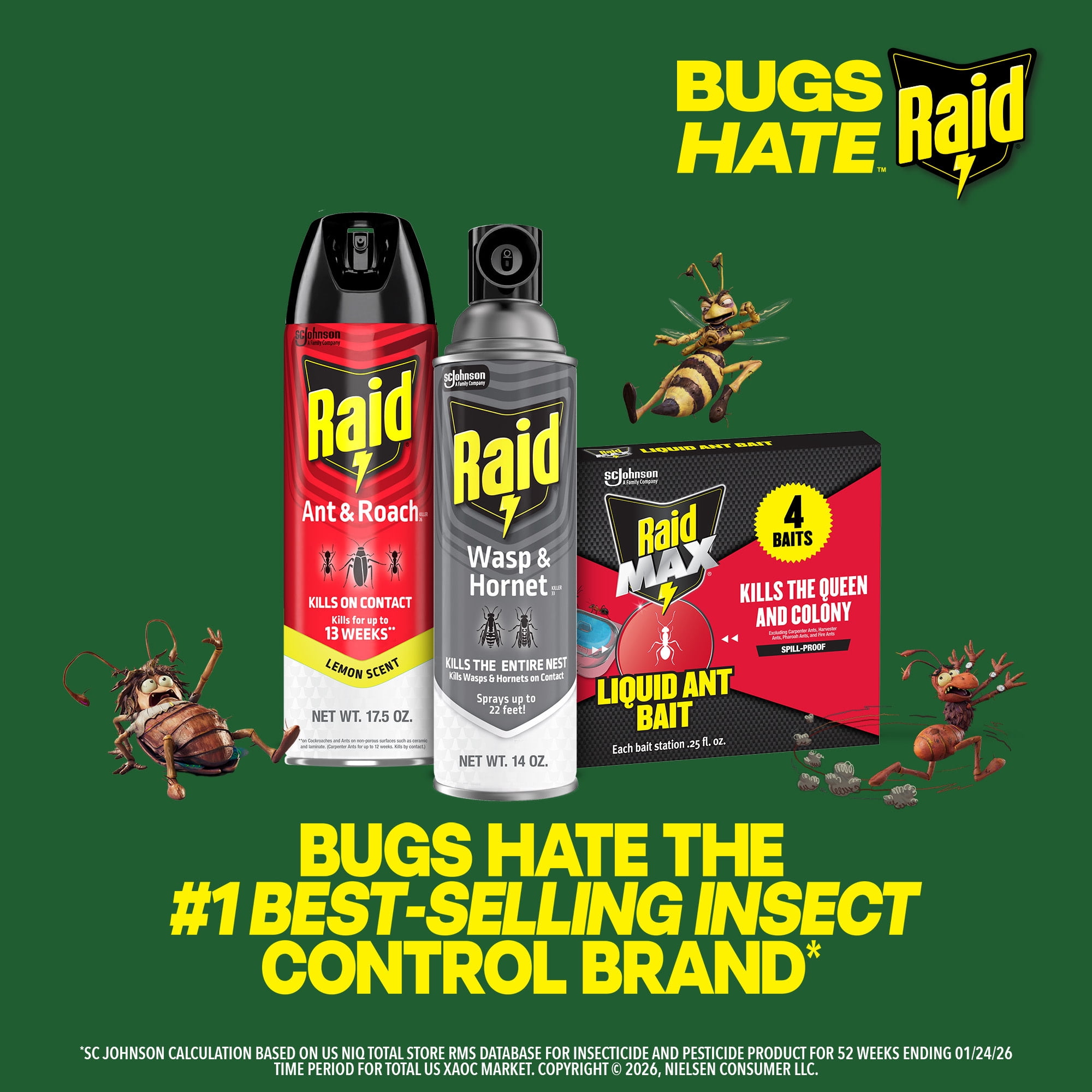 Raid Wasp and Hornet Killer 33 Outdoor Insecticide Spray (2 Pack, 14 oz each) 3e5kk