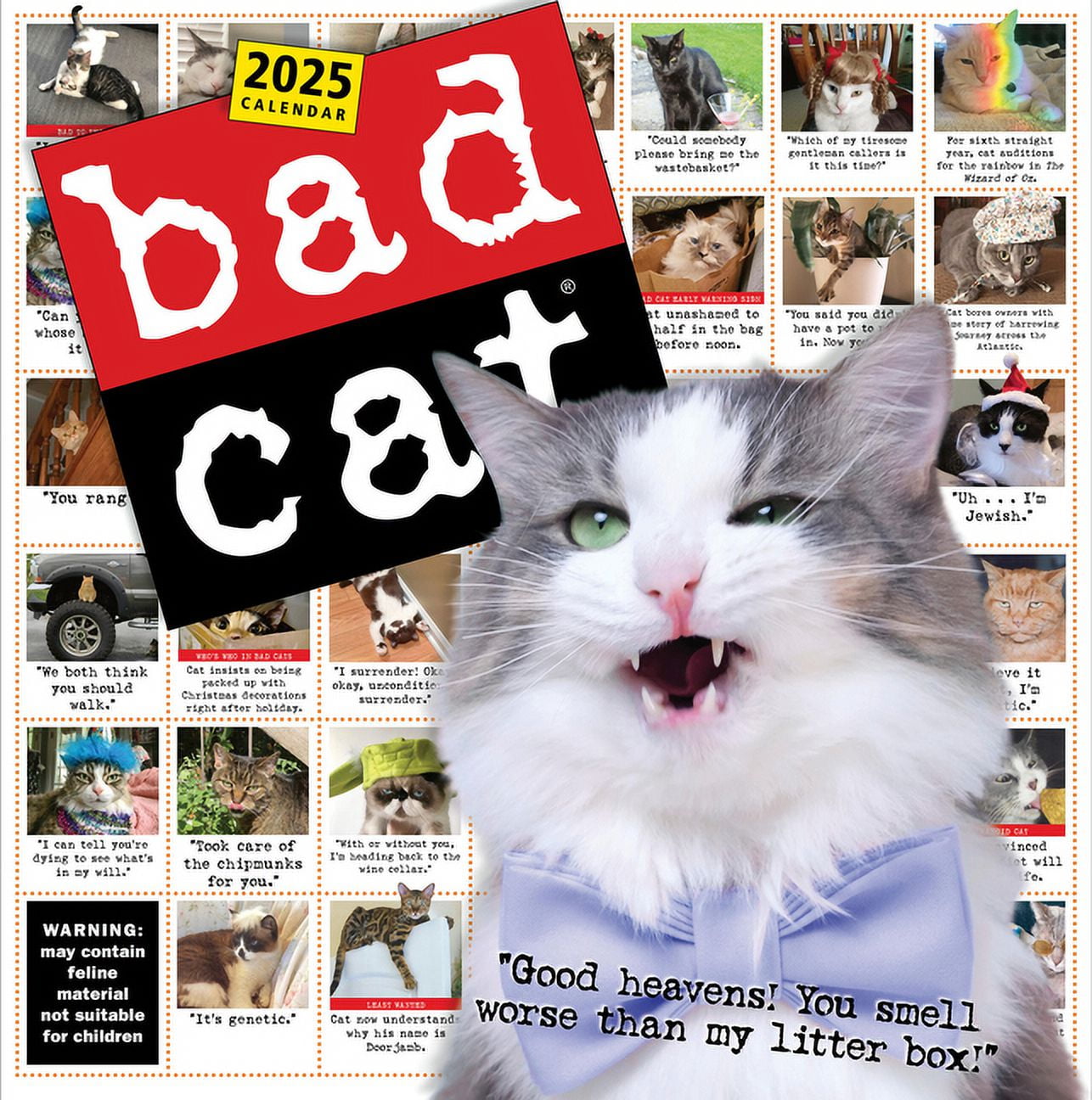 Harry Prichett Bad Cat Wall Calendar 2025: Celebrating the Misfits of the Feline World (12 in x 12 in) wez86