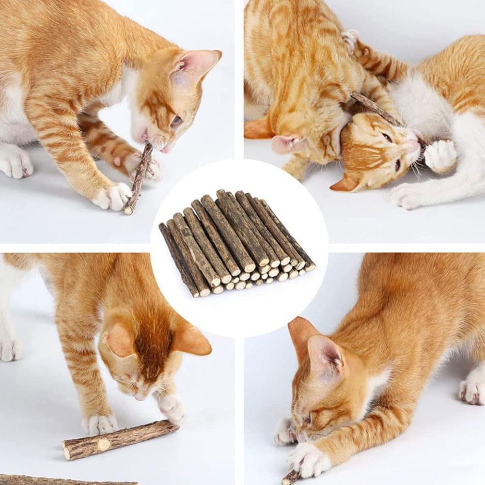 Yiokii Natural Matatabi Cat Chew Sticks Organic Dental Molar Toy (Green, 5 Pack) b2ytl