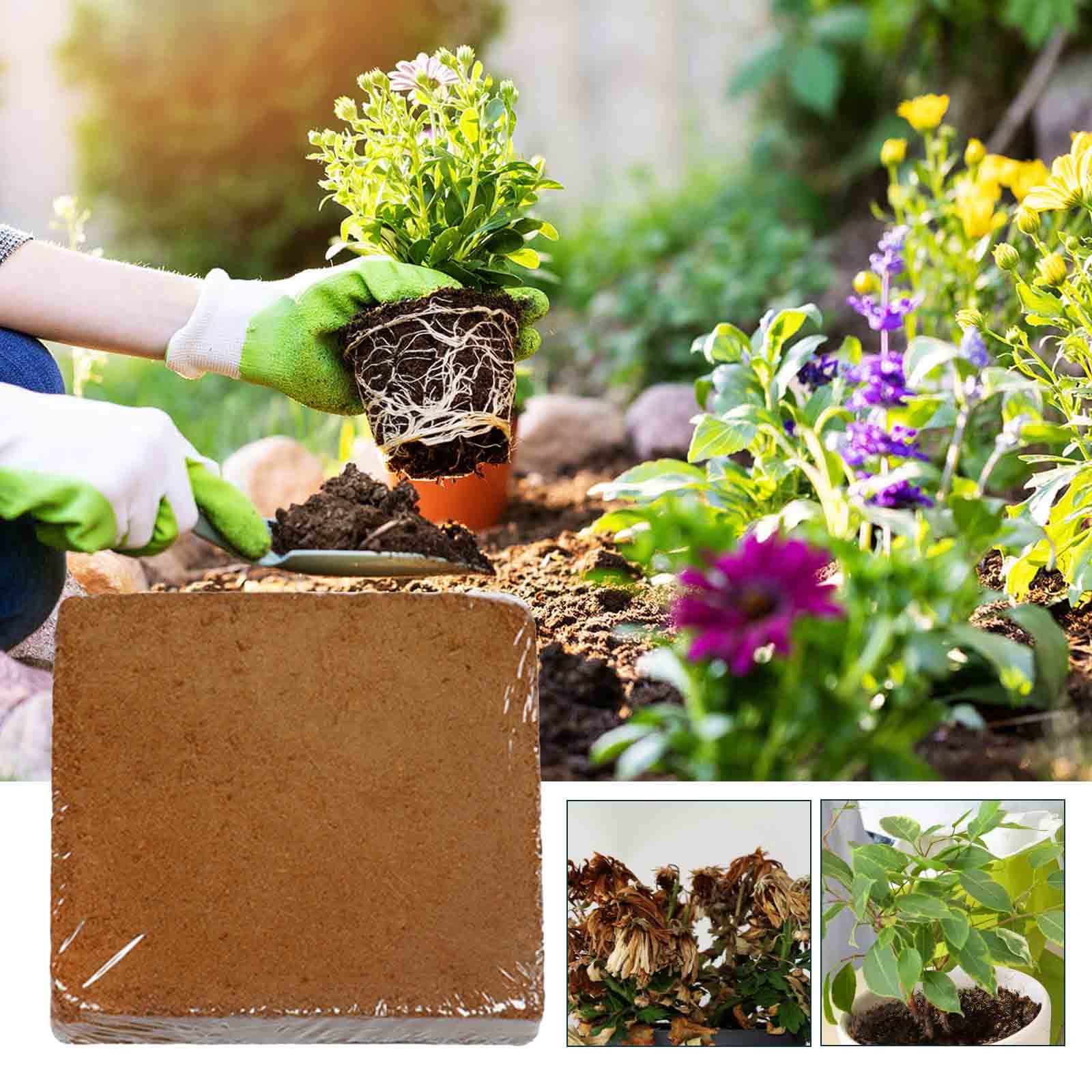 Ontiwes Coconut Coir Fiber Bricks Organic Potting Soil Substitute for Plants and Hydroponics (1.32 gal) 7flvd