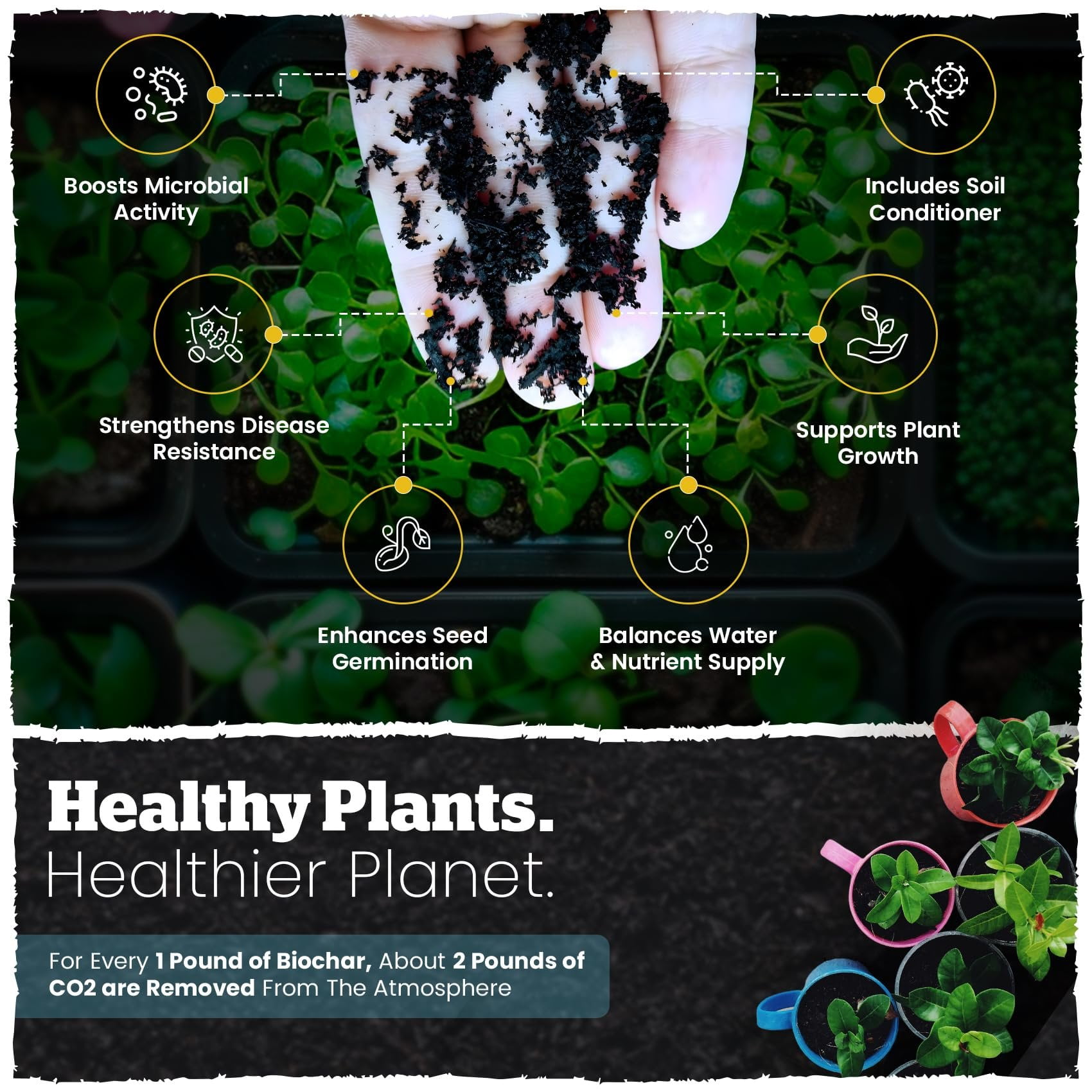 Wakefield Biochar Premium Soil Conditioner for Garden and Container Plants (4 qt) lb691