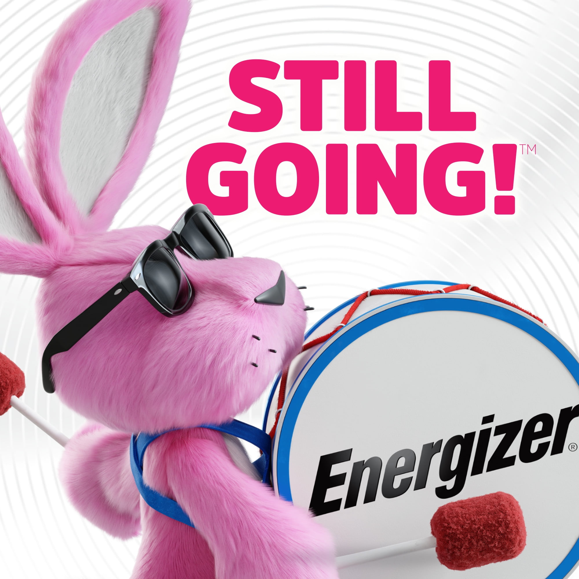 Energizer Ultimate Lithium AA Batteries (1 Pack) avit5