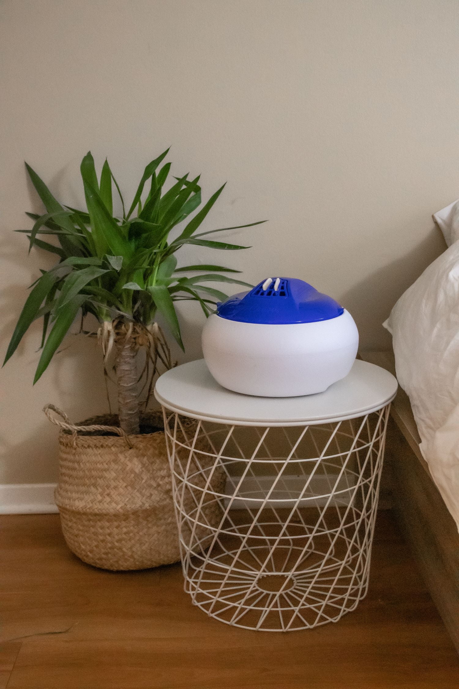 Crane USA Pure Steam Vaporizer, Filter Free Warm Mist Humidifier for Cough and Congestion Relief (Blue, 1 Gallon) 41nx4