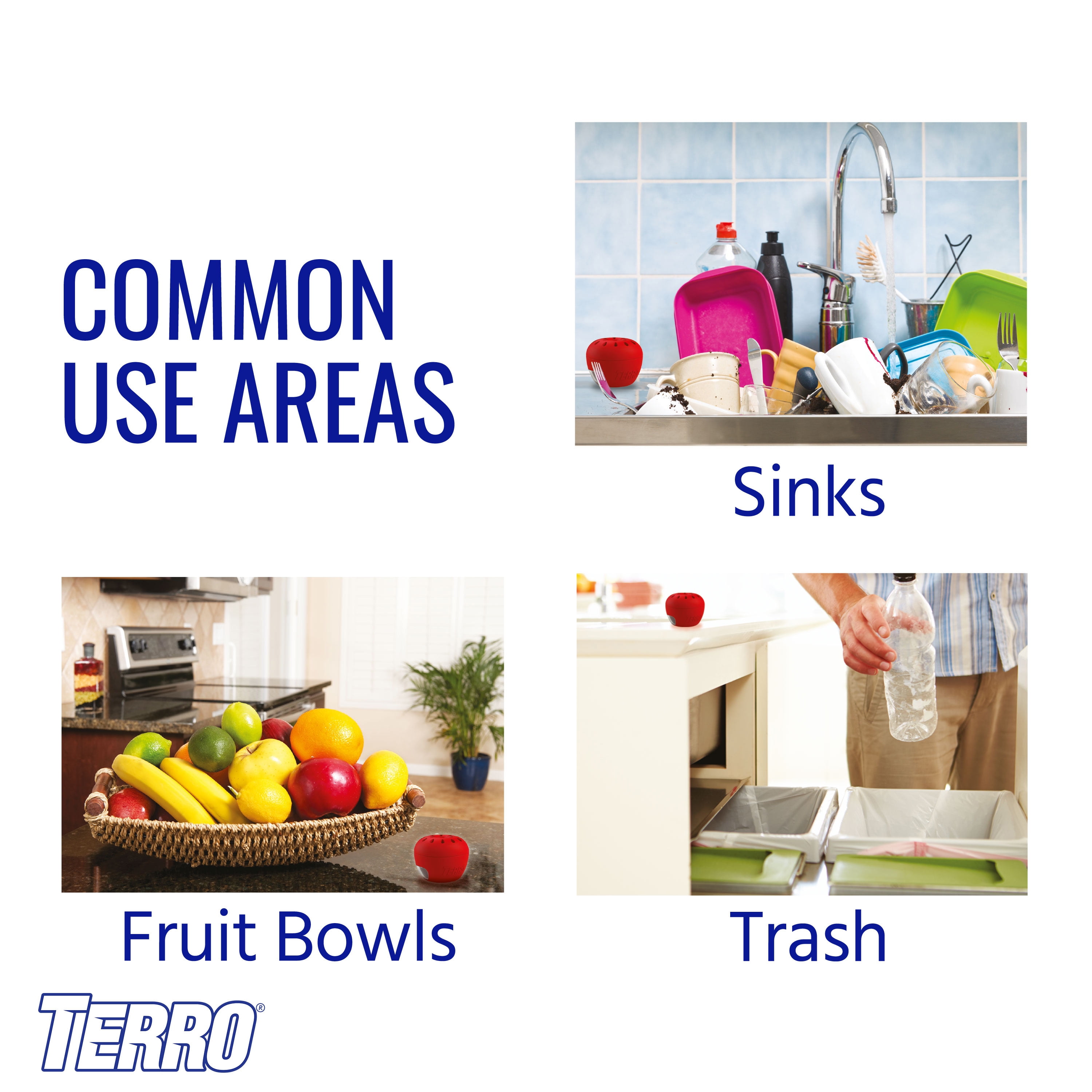 TERRO Fruit Fly Trap, Indoor Pest Control for Kitchen and Home (6 Pack) yp9gn