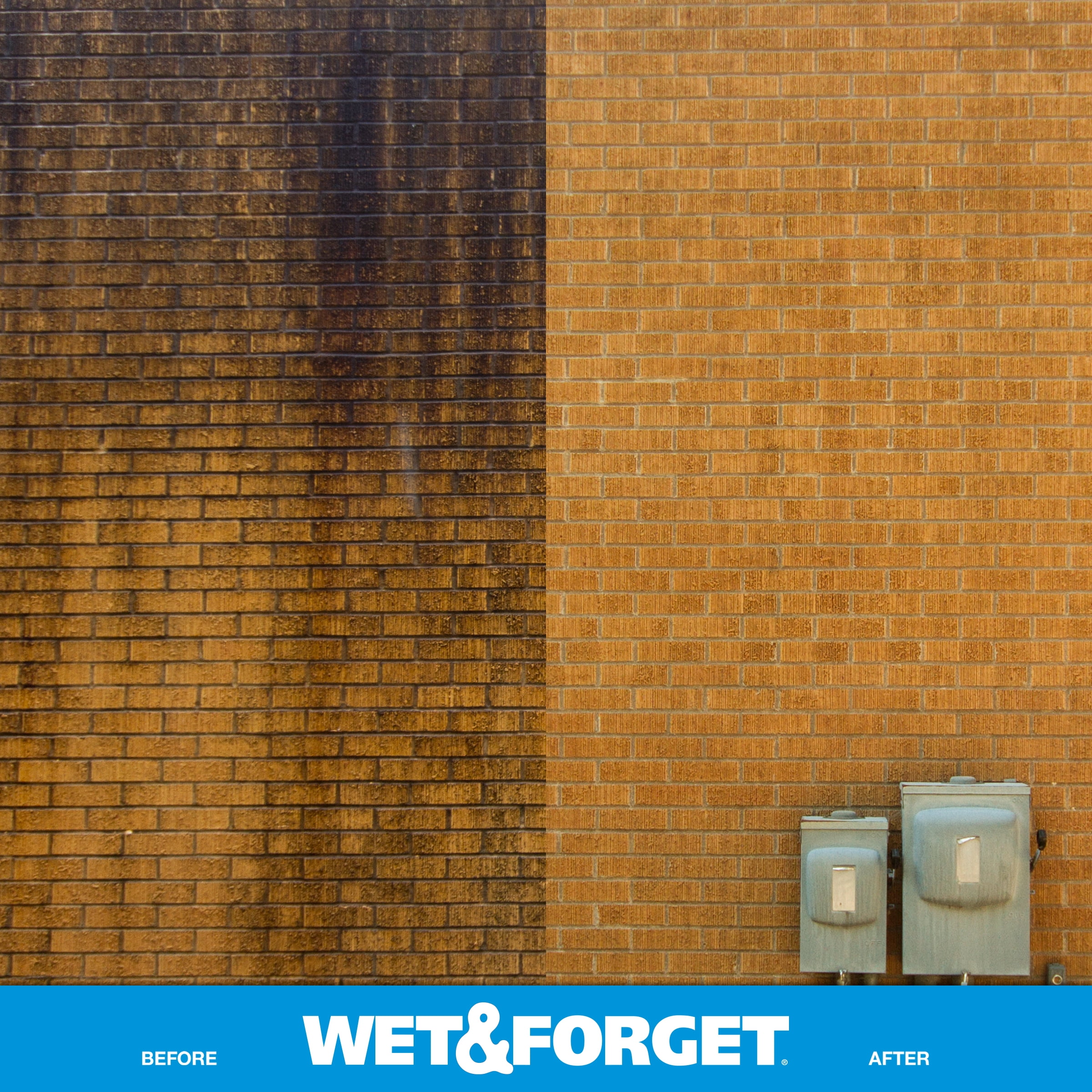 Wet & Forget Outdoor Moss, Mold, Mildew, and Algae Stain Remover Concentrate (128 oz) gb8ly