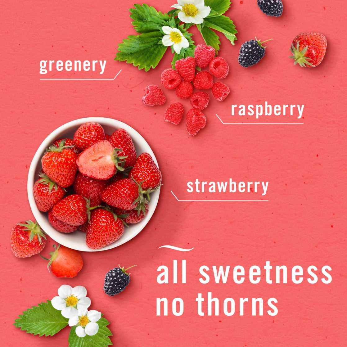 Febreze BATH Air Freshener Berry & Bramble (Berry & Bramble, 0.25 fl oz, 3 Pack) iwc6z