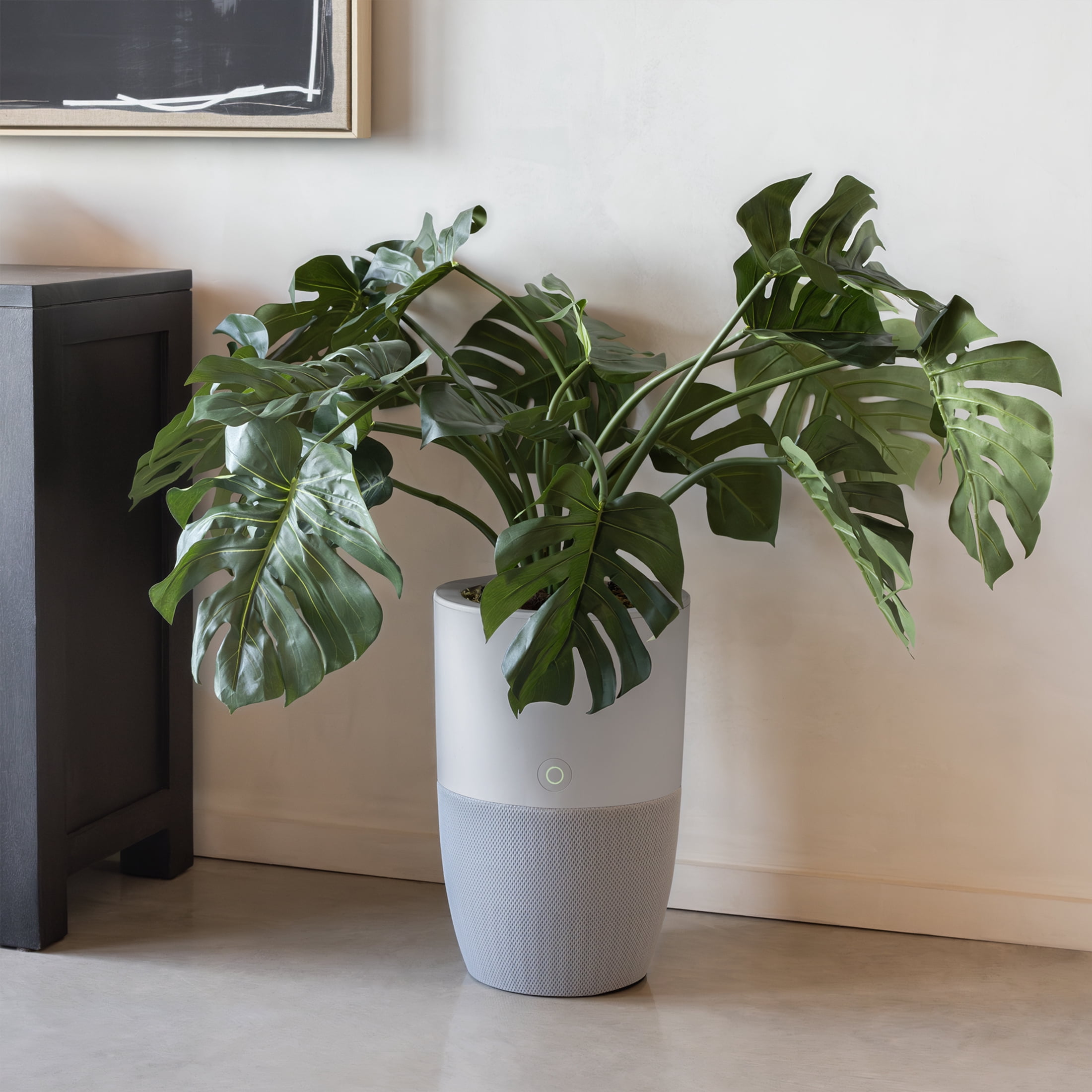 Dupray Bloom Smart Air Purifier for Large Rooms, HEPA-13 Filtration with AutoDetect Technology (Gray, 1517 sq ft) 5km0c