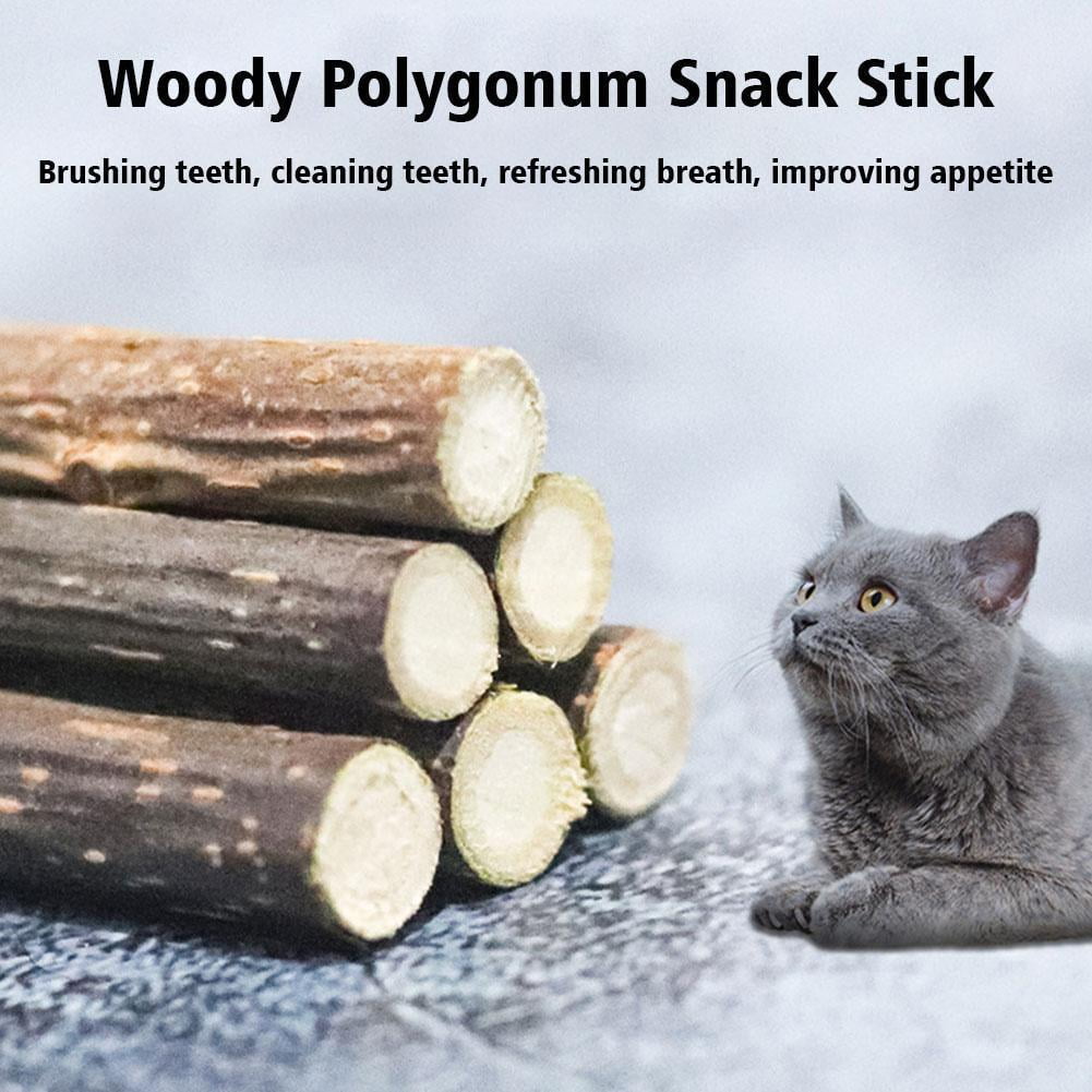 Yiokii Natural Matatabi Cat Chew Sticks Organic Dental Molar Toy (Green, 5 Pack) b2ytl
