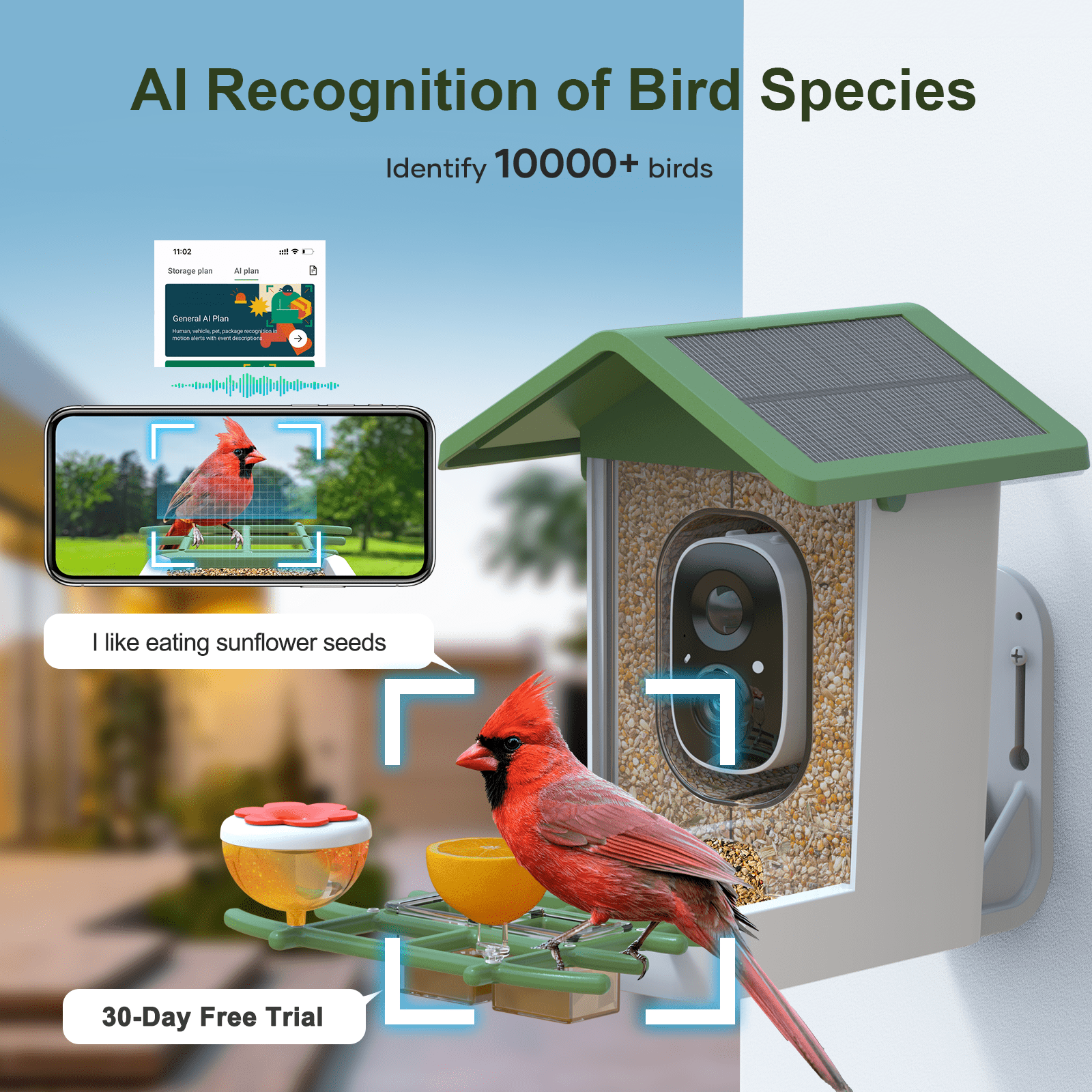 MADTASK Smart Bird Feeder with Camera, Solar Powered Outdoor Wireless WiFi Birdhouse with AI Recognition (Green, 1 Pack) nvml9