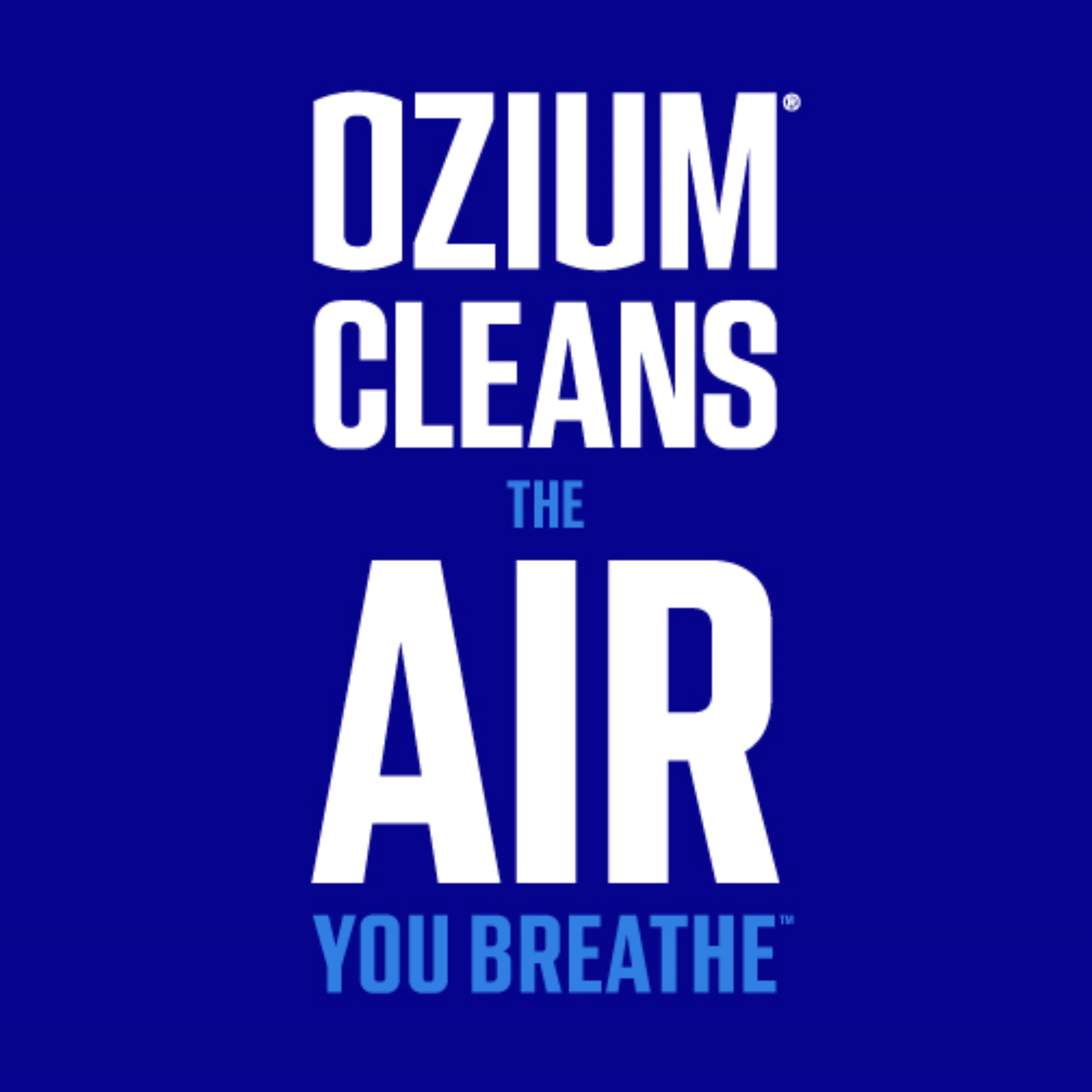 Ozium Air Sanitizer Spray, Original Scent, Odor Eliminator (6 Pack, 8 oz) timhe