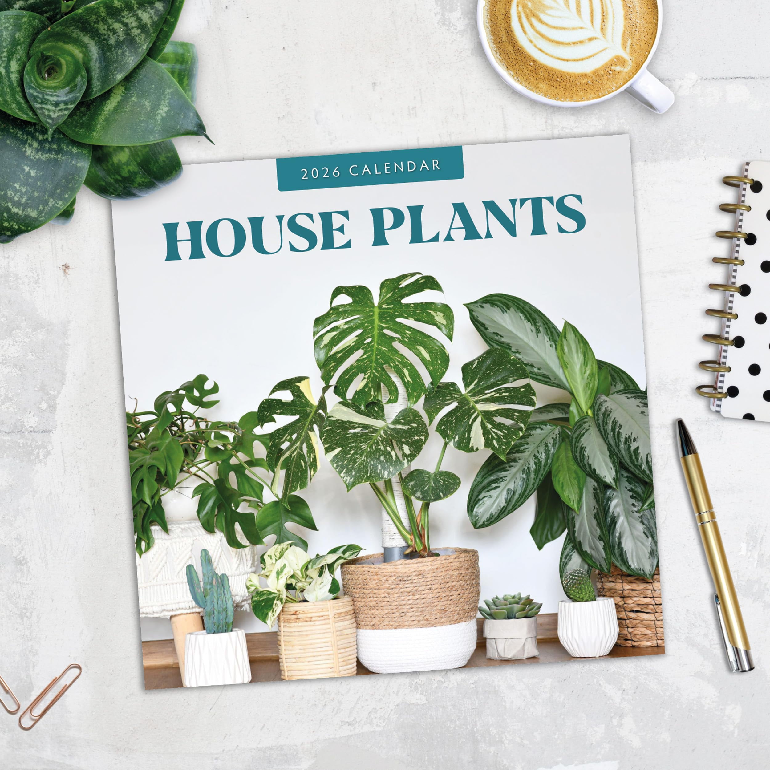 Red Robin Publishing 2026 House Plants Monthly Wall Calendar (Multicolor, 12 in x 24 in) 510n3