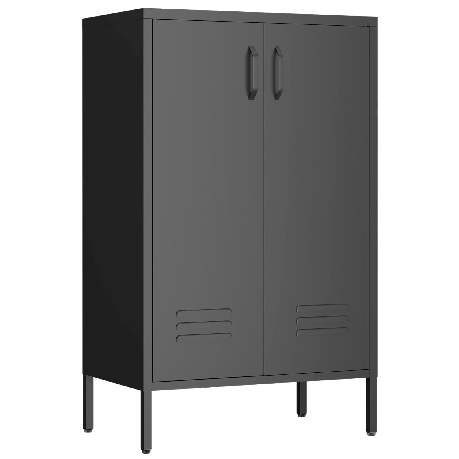 NICEGDLT Metal Storage Cabinet with Adjustable Shelves and Magnetic Doors (Black, 2-Door) 972os