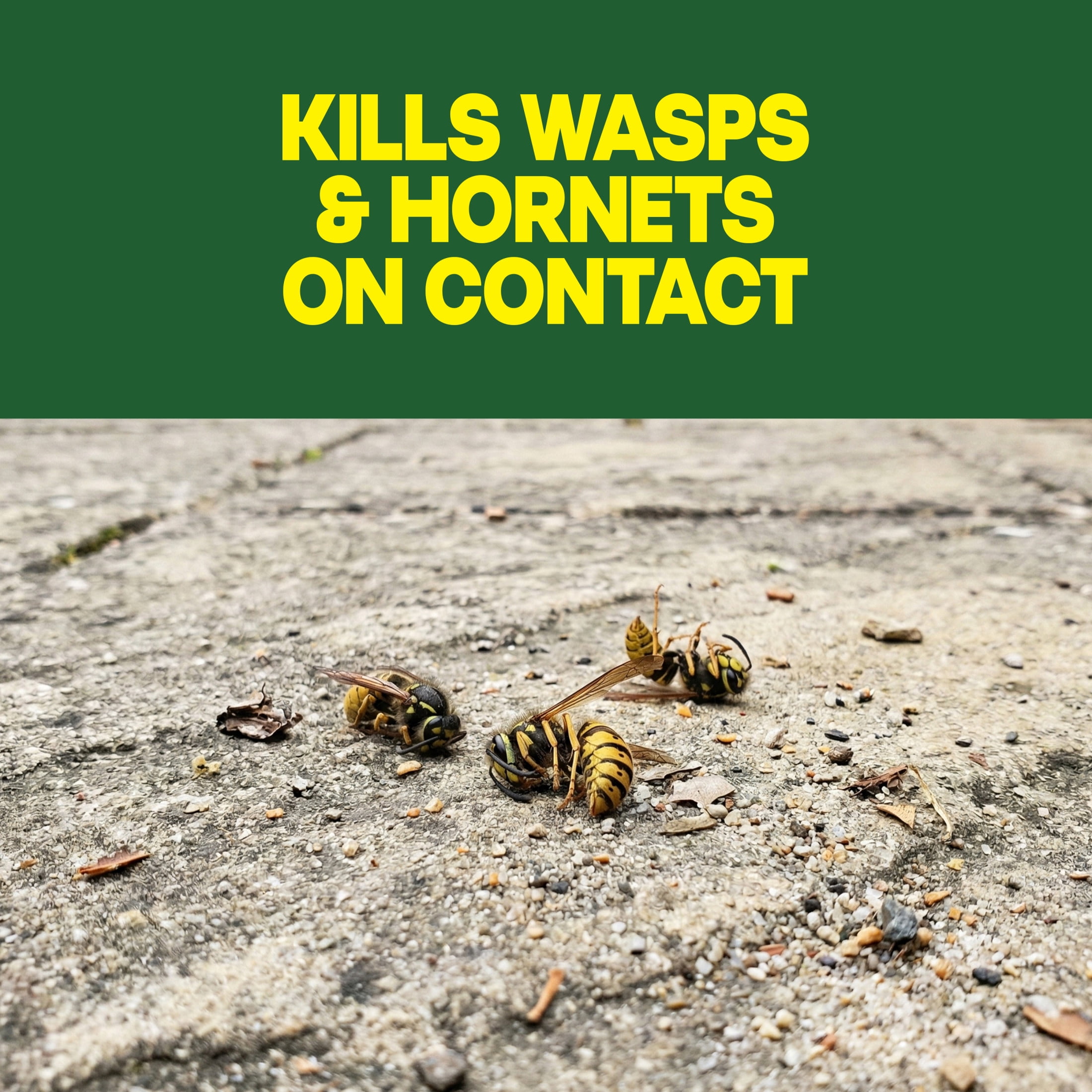 Raid Wasp and Hornet Killer 33 Outdoor Insecticide Spray (2 Pack, 14 oz each) 3e5kk