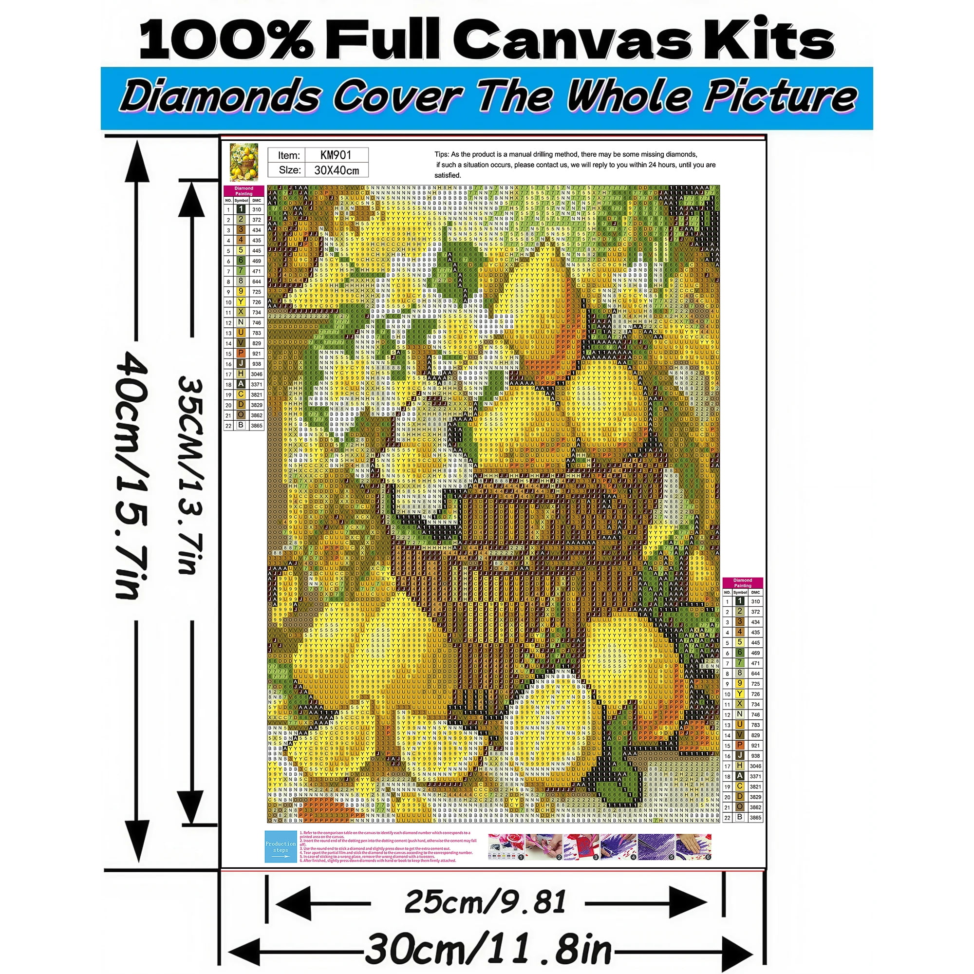 BYGFHLYW Diamond Painting Kit, Lemon Art Craft for Adults, Full Round Drill Wall Decor (Yellow, 12 in x 16 in) sxspn