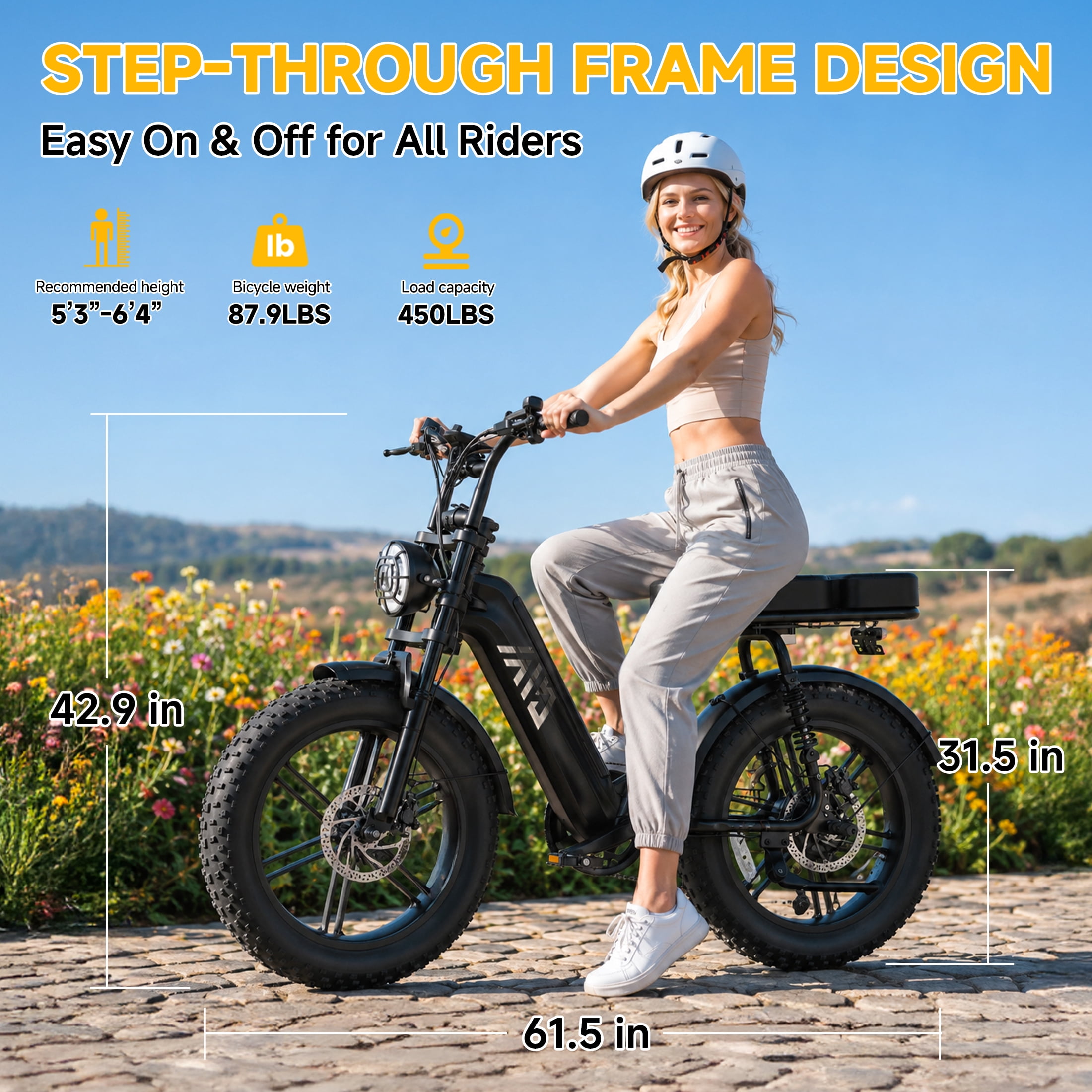 TST Electric Bike for Women, 750W Motor, 48V 15Ah Battery, 20 in x 4 in Fat Tire, Full Suspension (Black) hbfl2