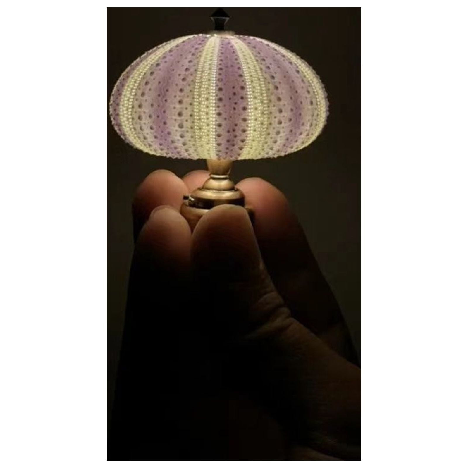 Natural Sea Urchin Miniature Night Light (Warm Yellow, 3 in) vuo75